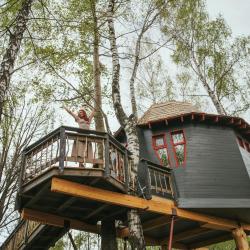 Фото Лапочкино гнездо Дома на деревьях