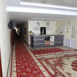 Фото Сорока