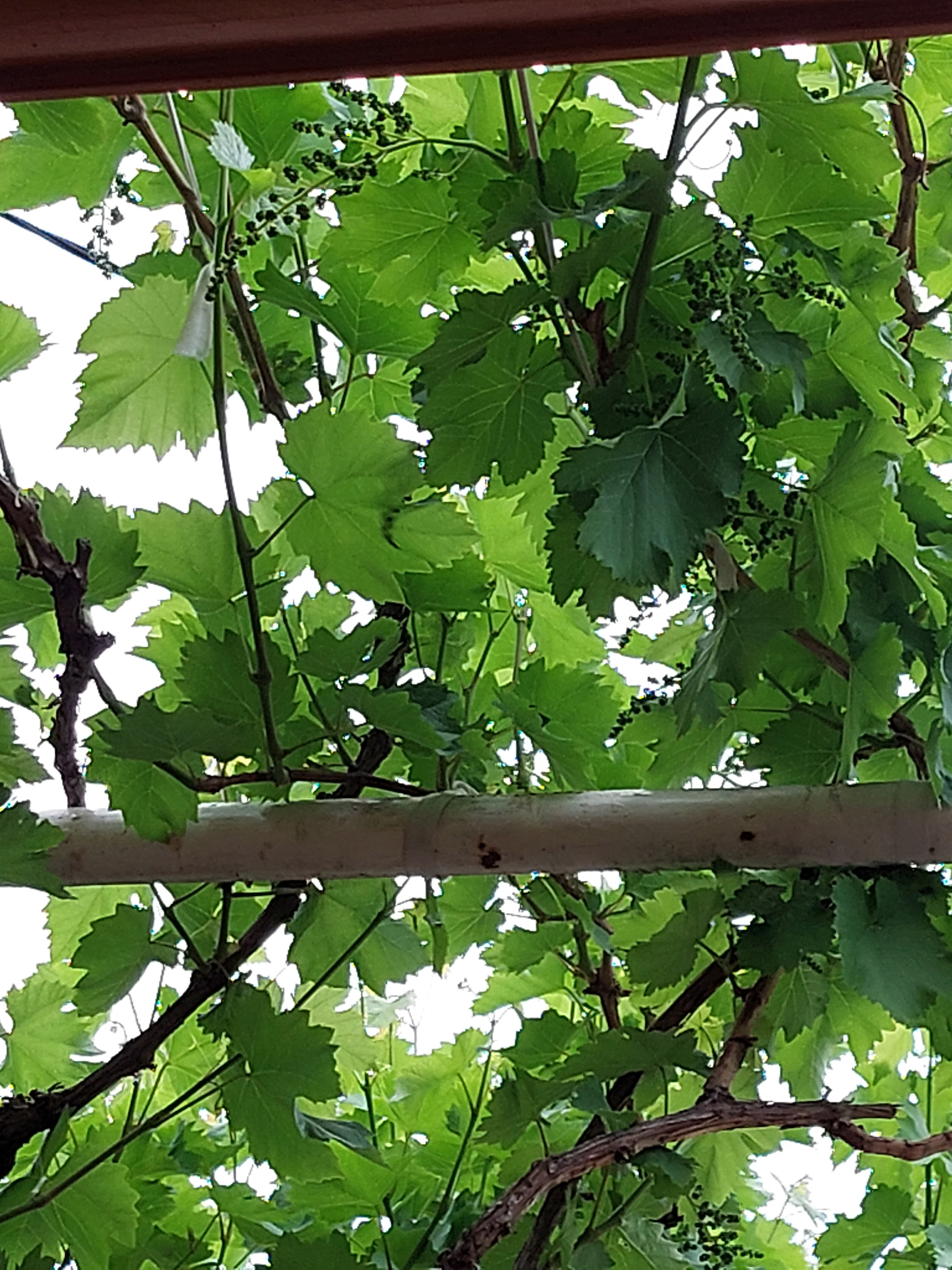 Фото Dilshoda Prime