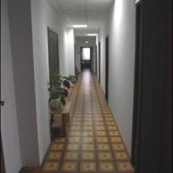 Фото Золотая подкова