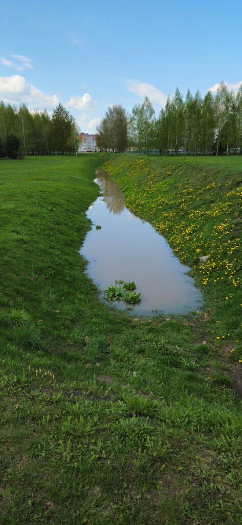 Landmark, attraction Противотанковый ров, Mogilev District, photo