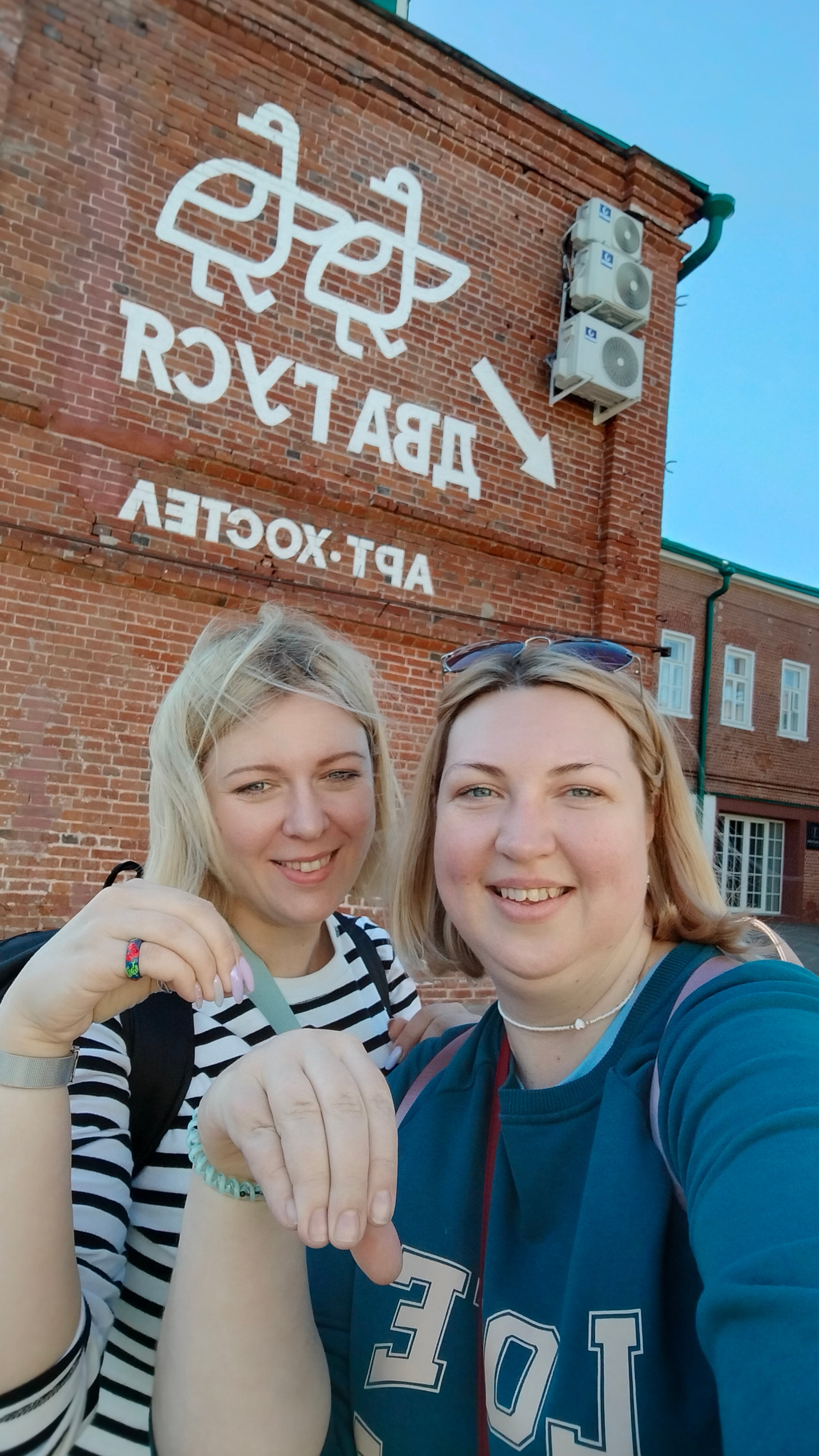 Фото Два гуся