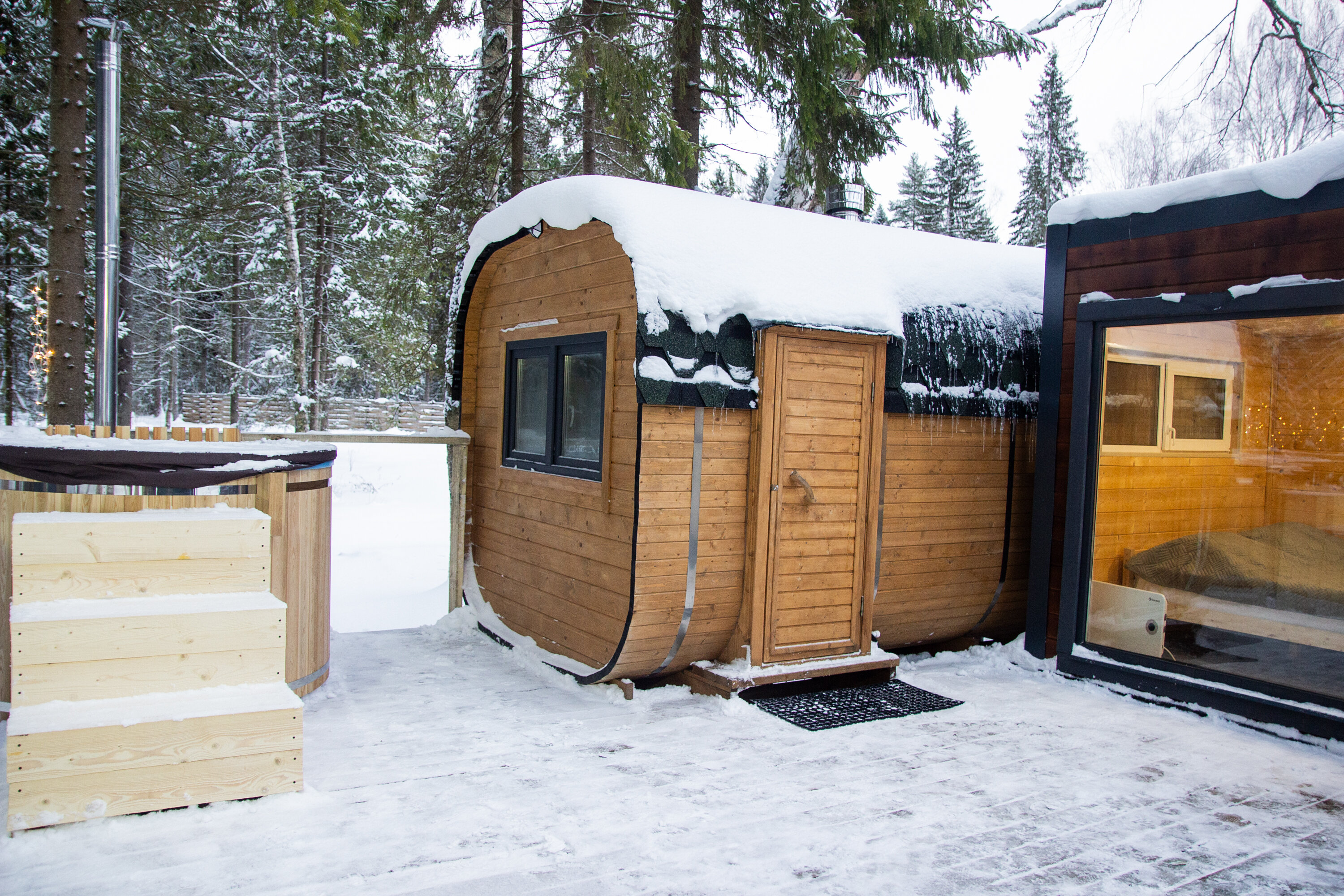 Фото Лесная тропа