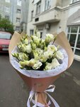 Ботаника (ул. Фокина, 18), магазин цветов в Брянске