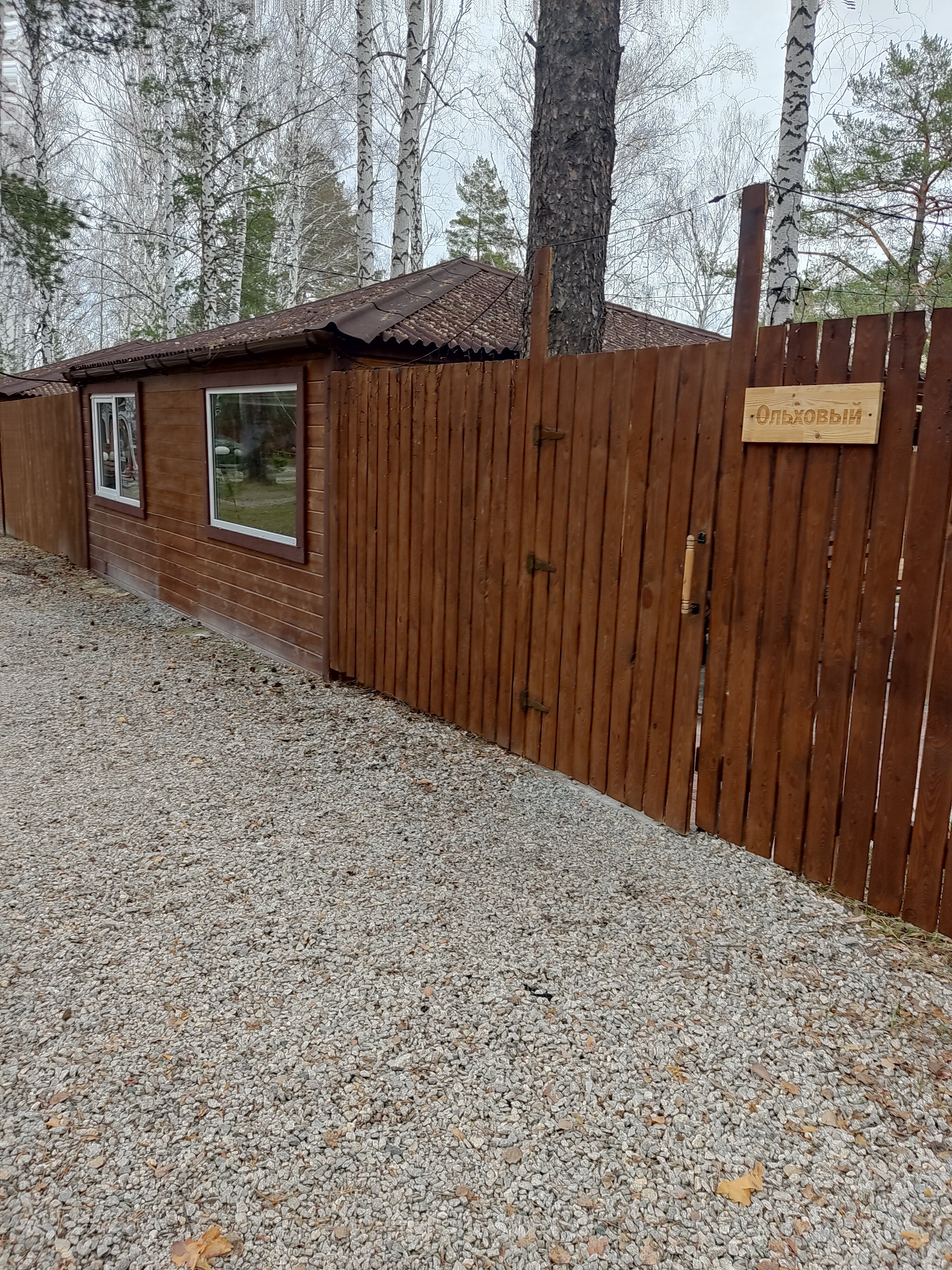 Фото Лесотерапия