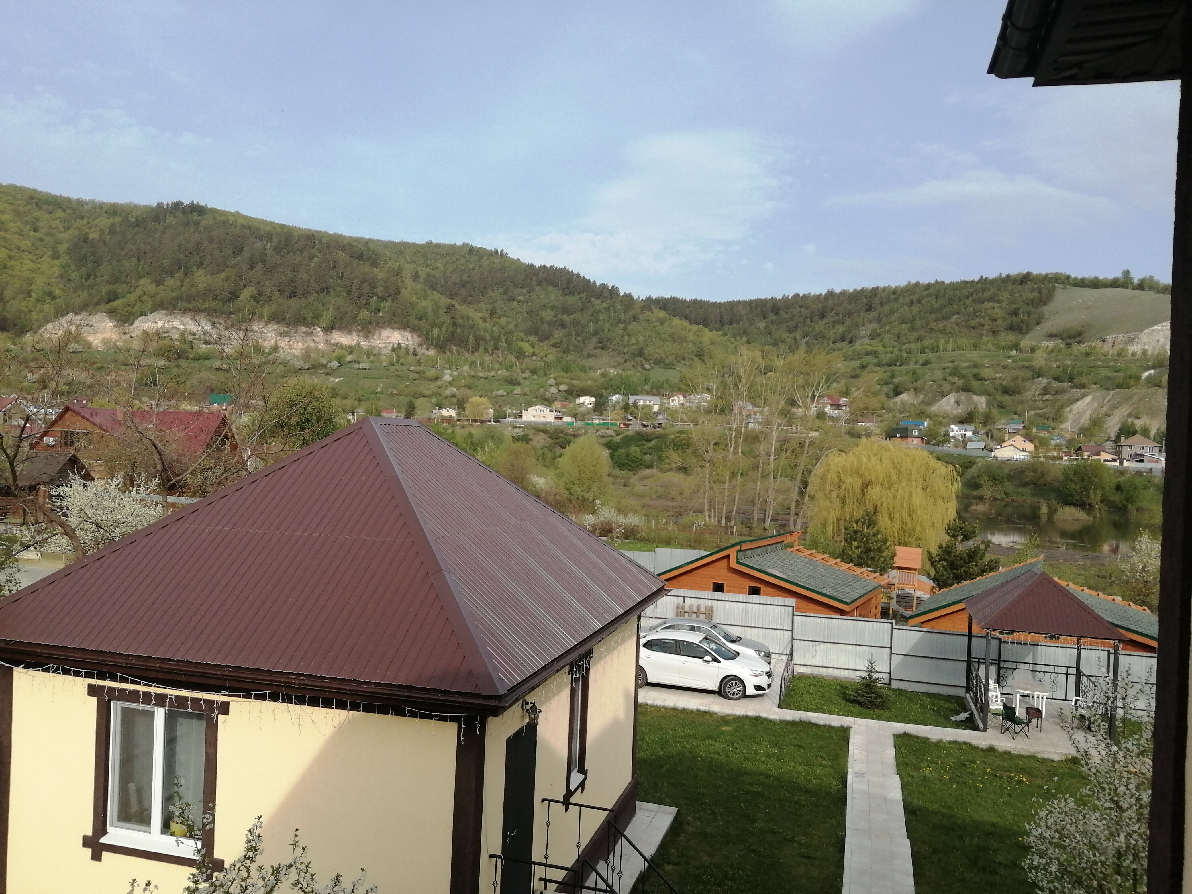 Фото Лисички-сестрички