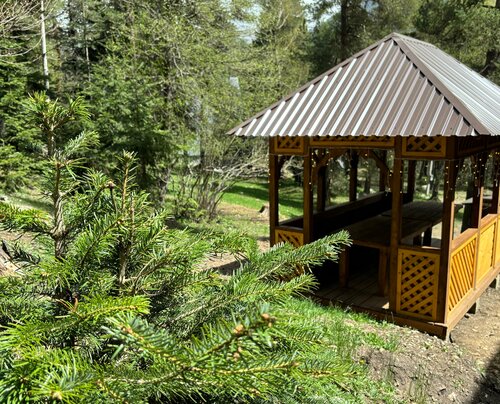 Chalet_Family_Arkhyz — фото 3