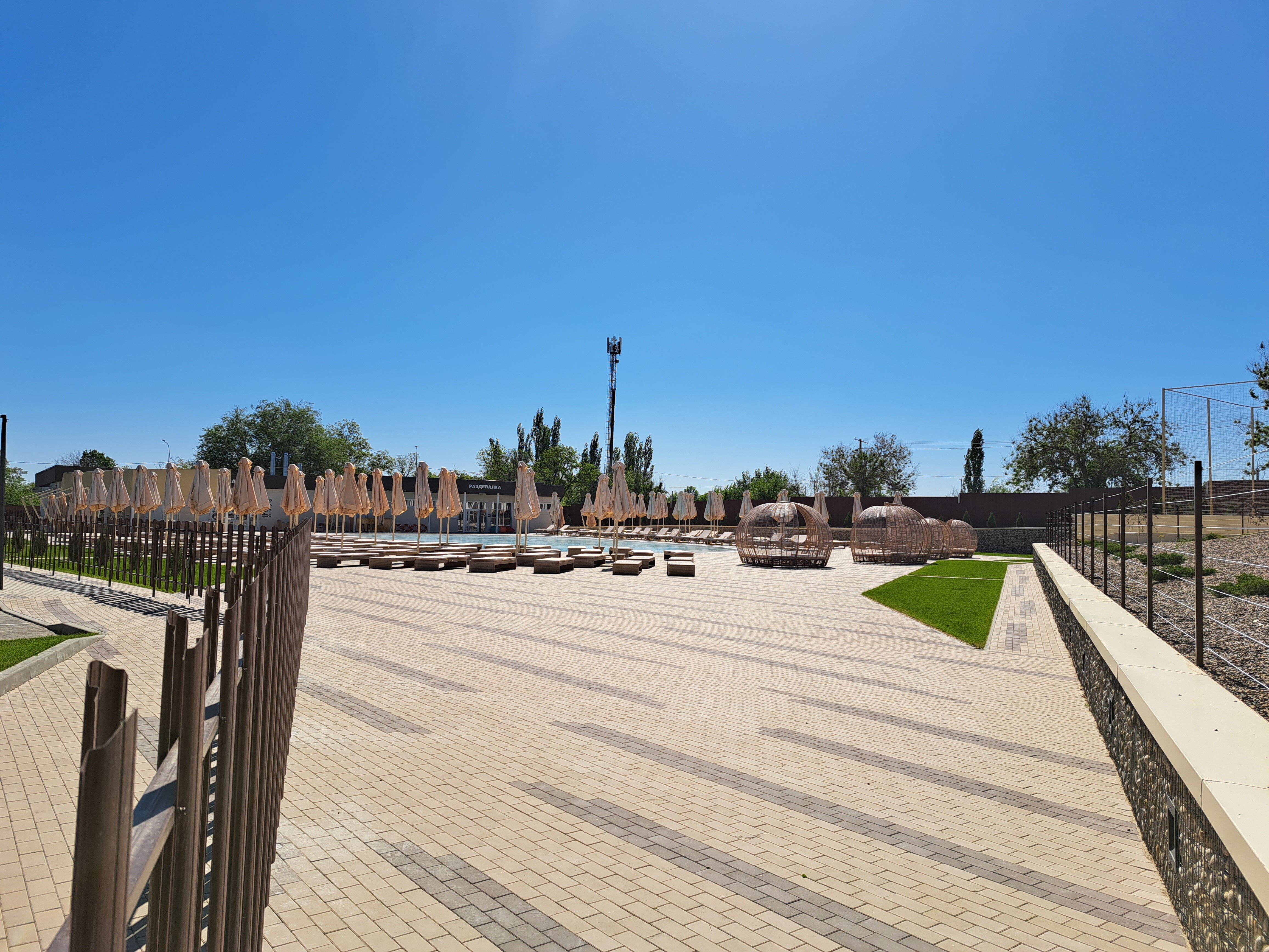 Фото Наша Хвоя