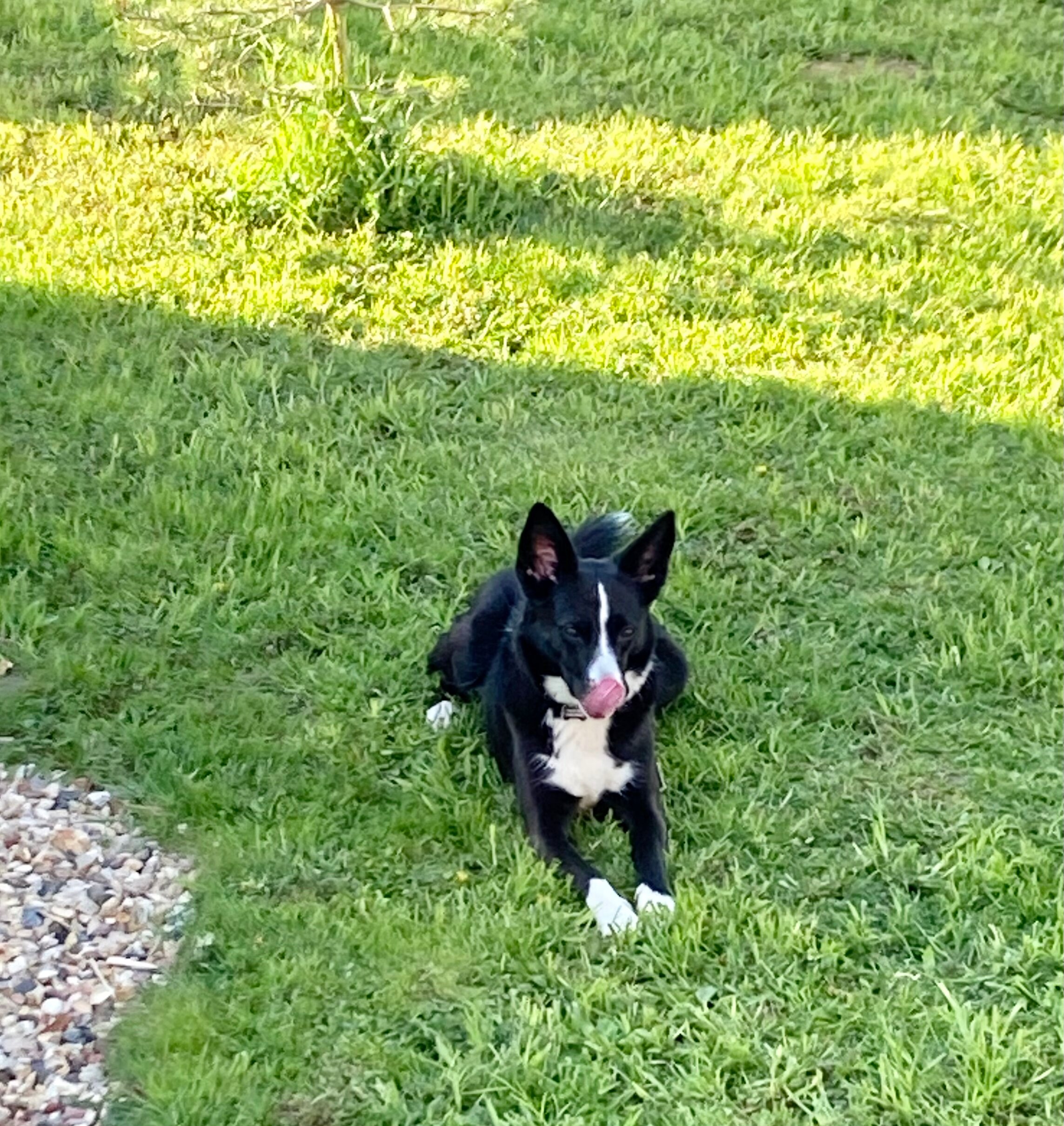 Фото Непросто дача