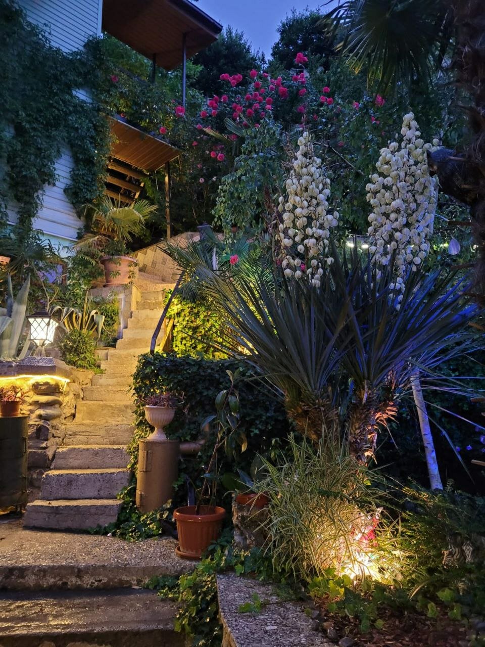 Фото Лазурный залив