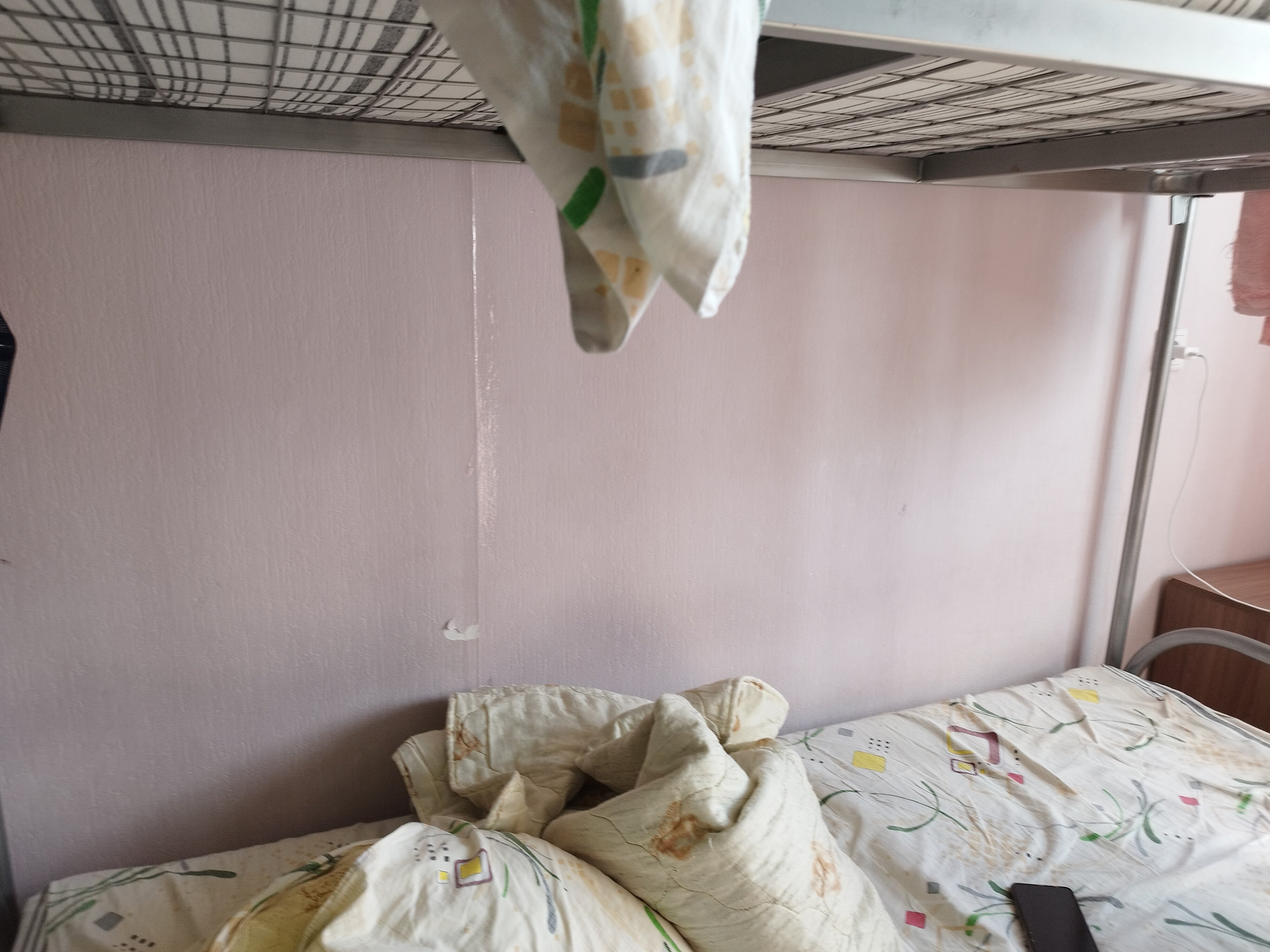 Фото Сириус