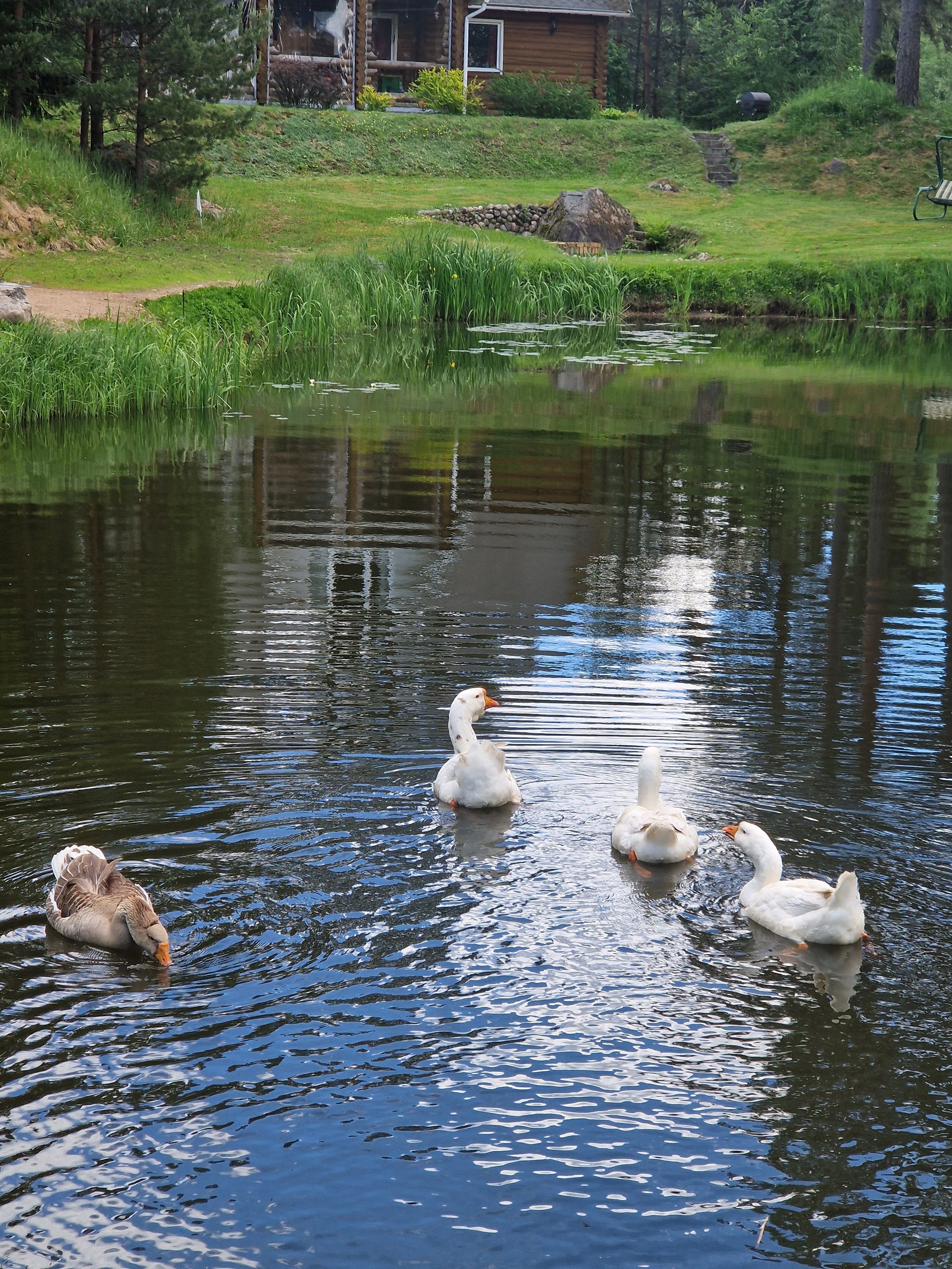Фото Хутор Янтула