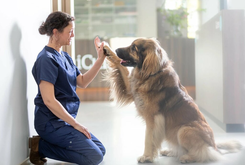 Veterinary clinic Томас, Astrahan, photo