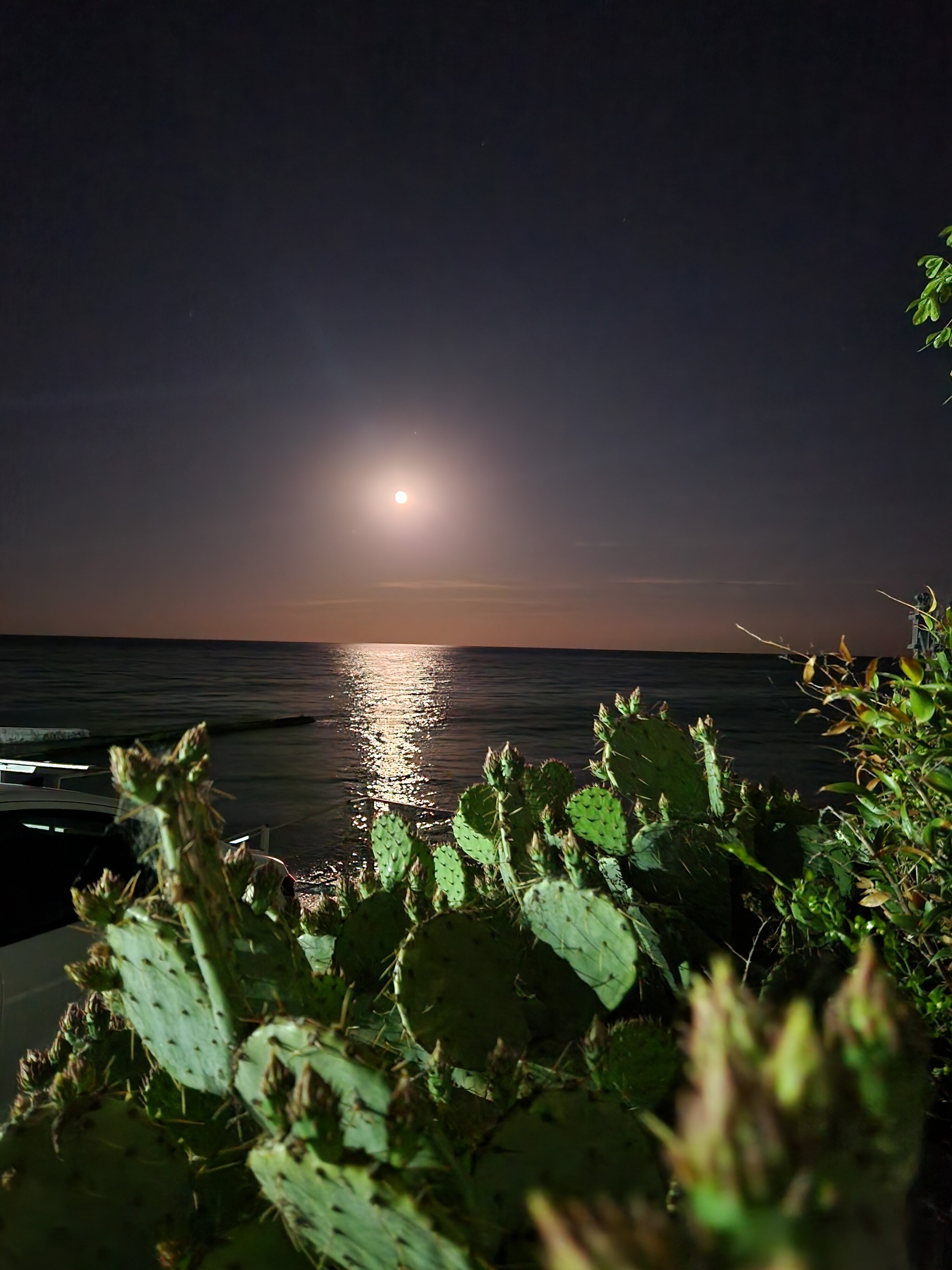 Фото Tikhiy Ugolok