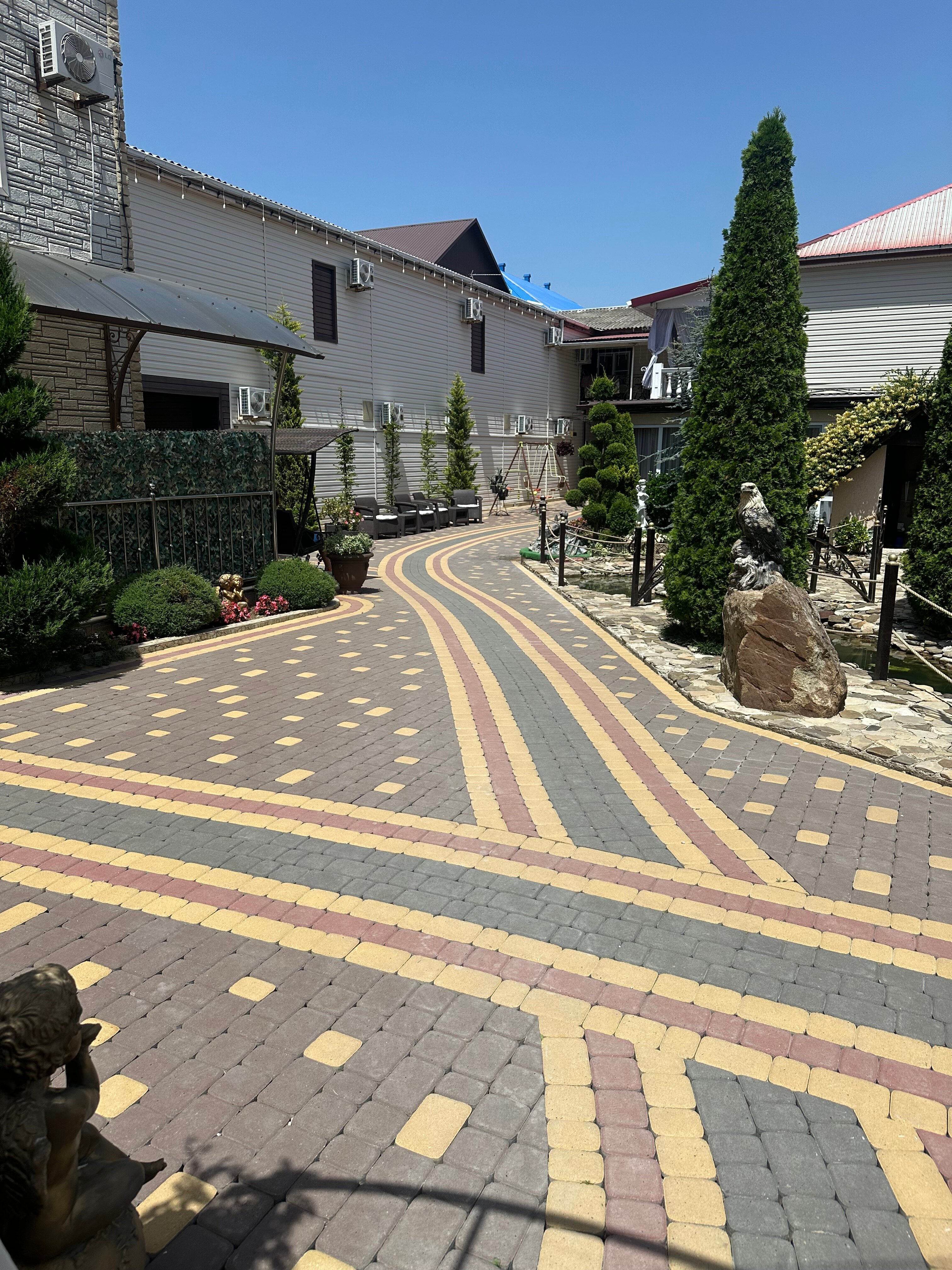 Фото Анютины Глазки