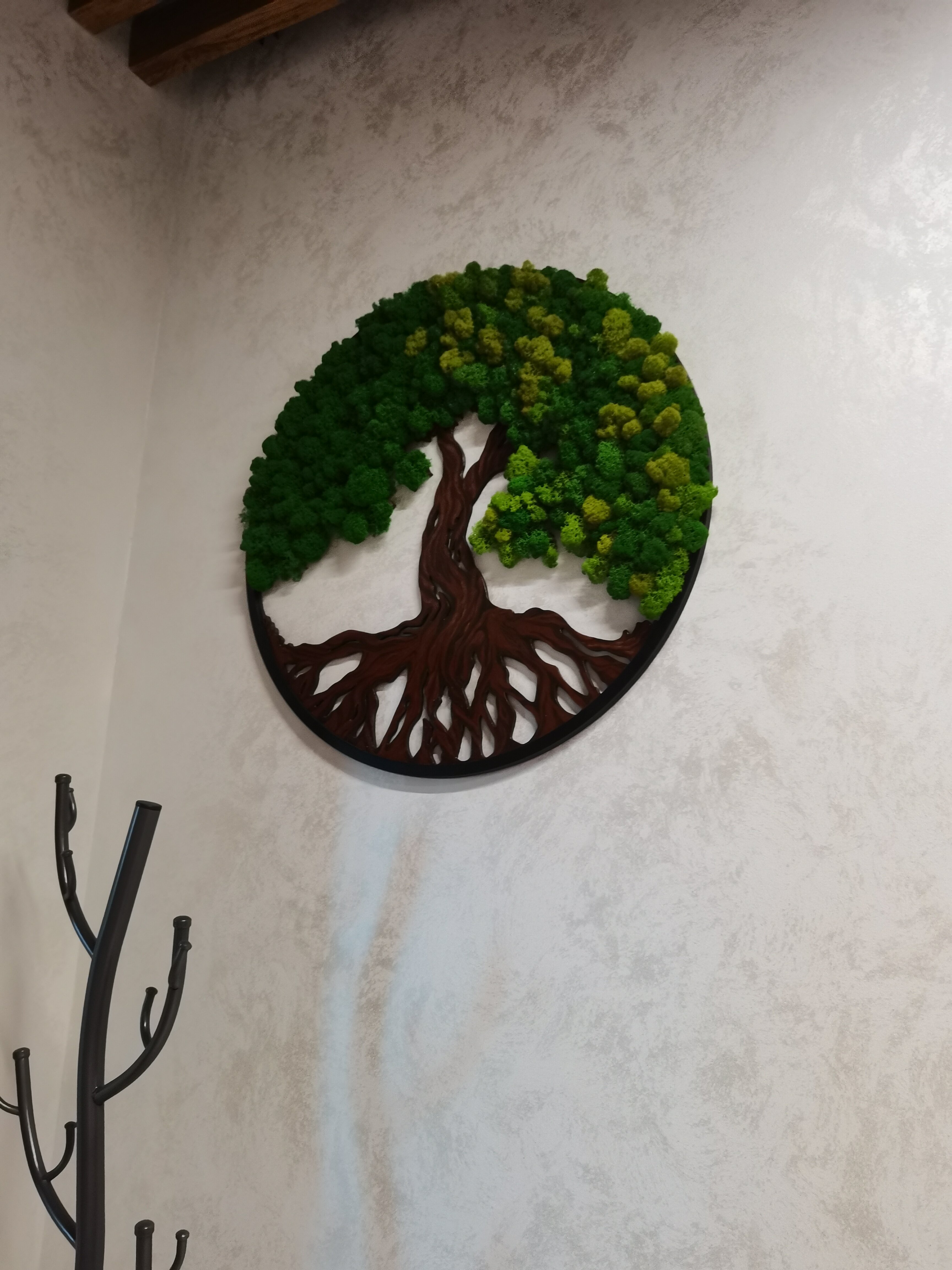 Фото Новая Волга