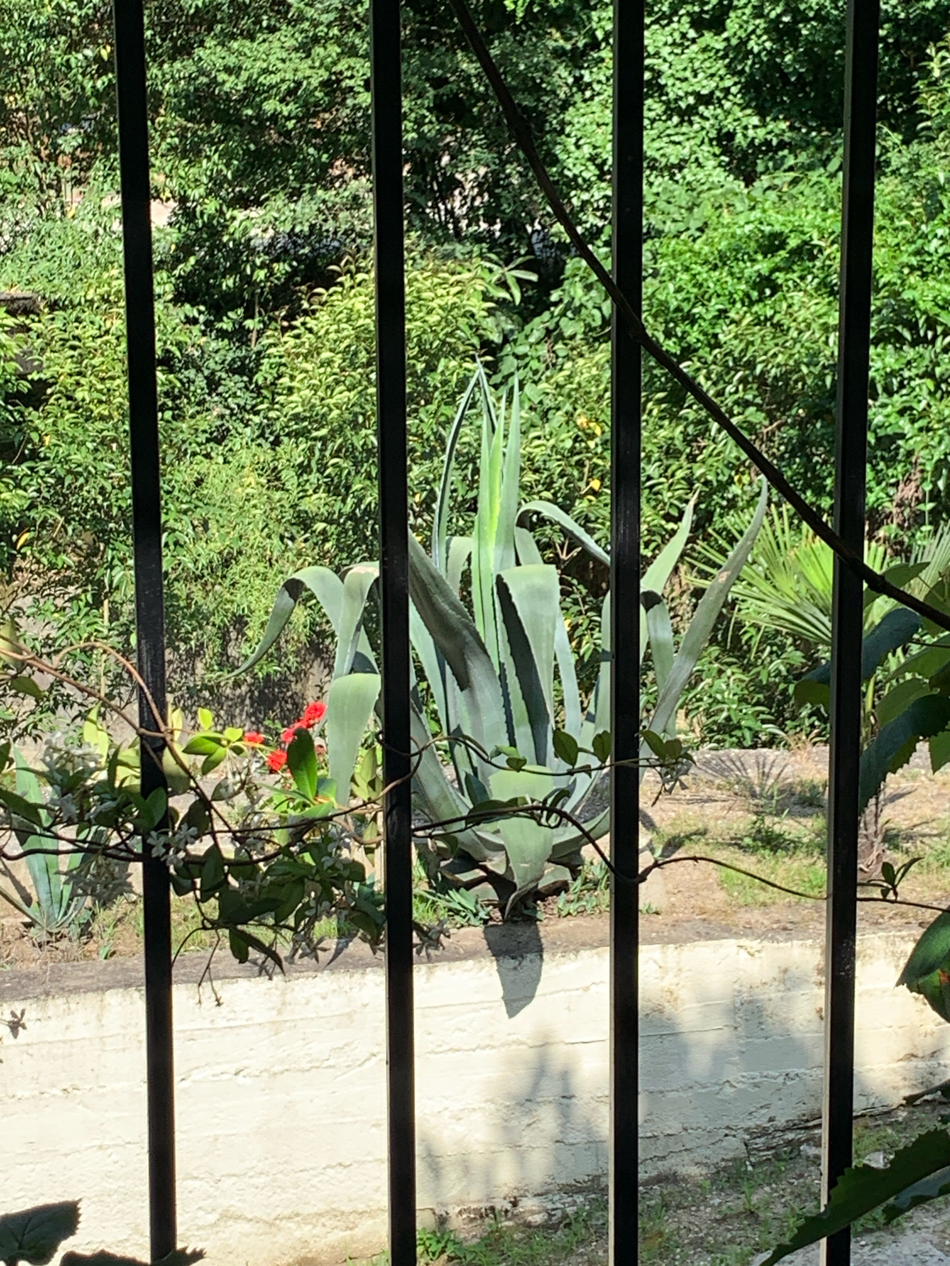 Фото Вилла Леона