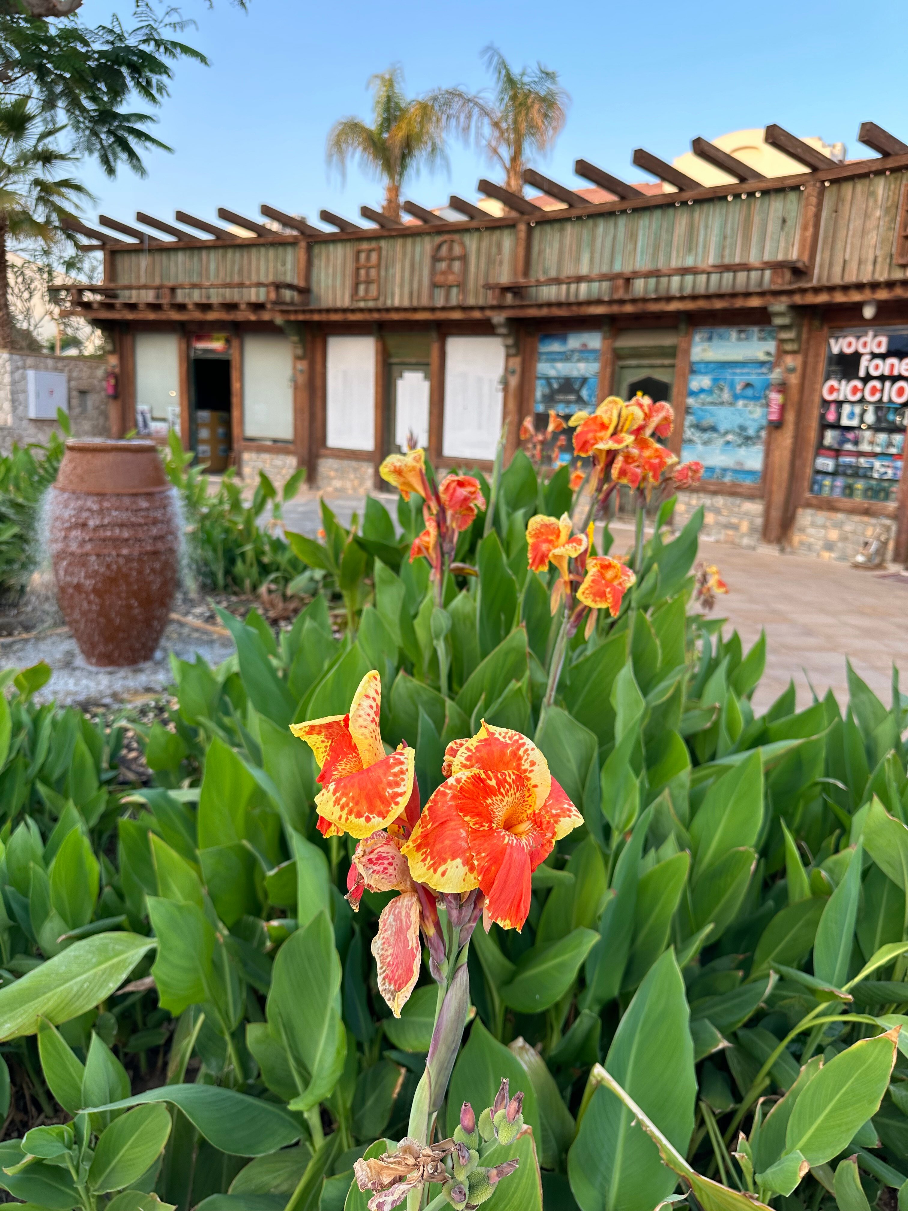 Фото Reef Oasis Blue Bay Resort