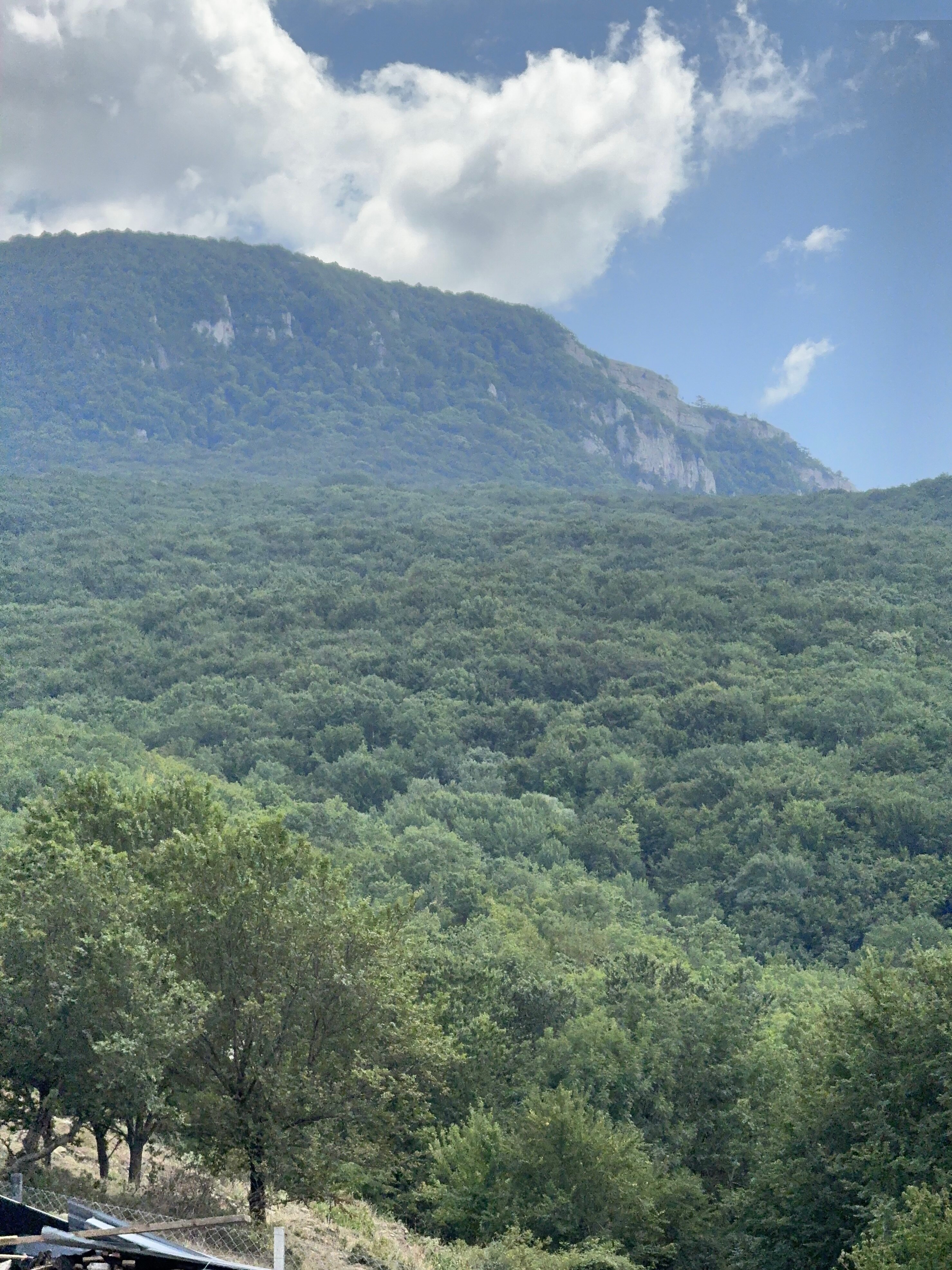 Фото Едем в горы