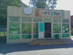 Фрукты овощи (Transportnaya ulitsa, 34к5), greengrocery