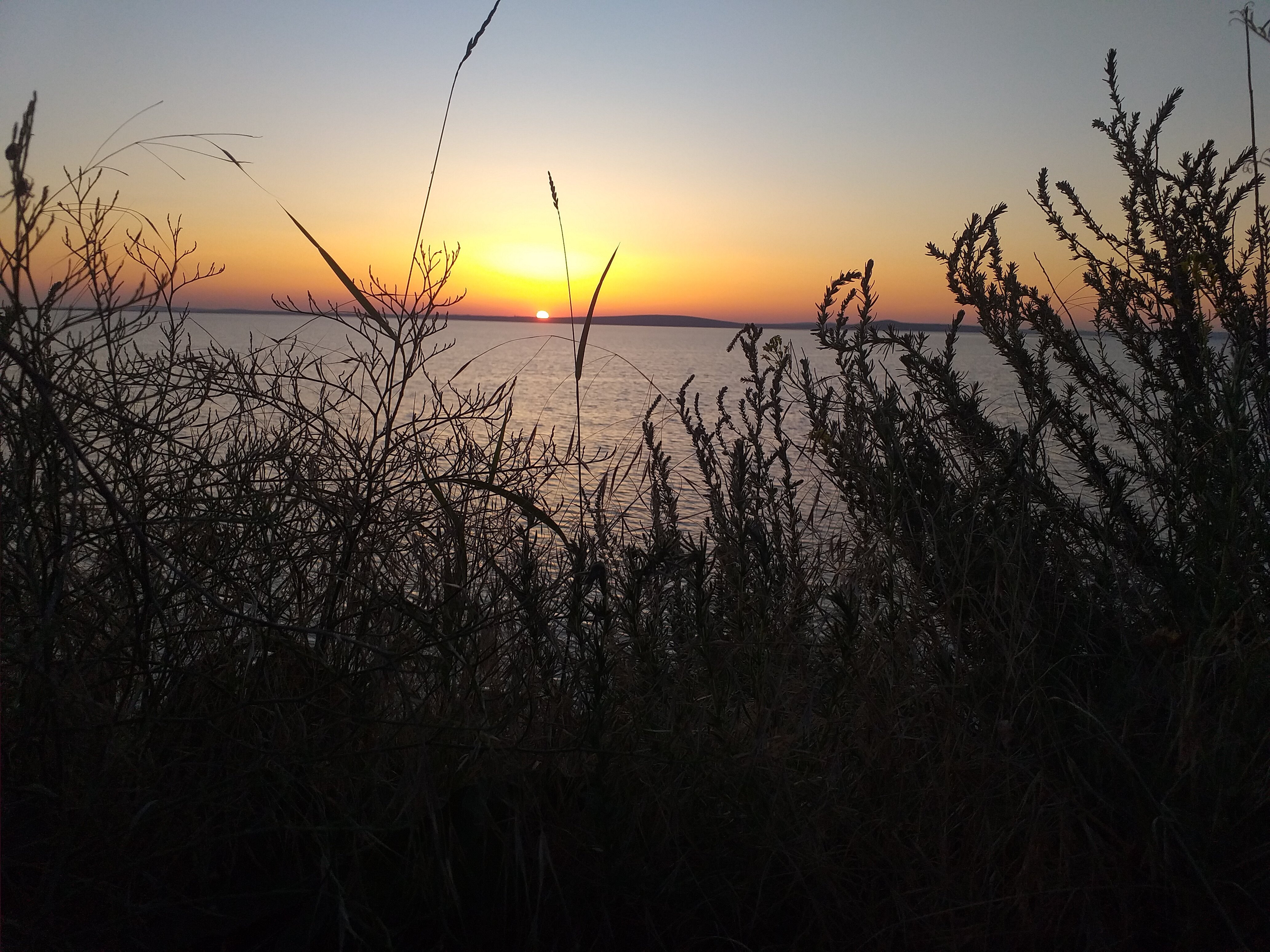 Фото Пансионат Ладога