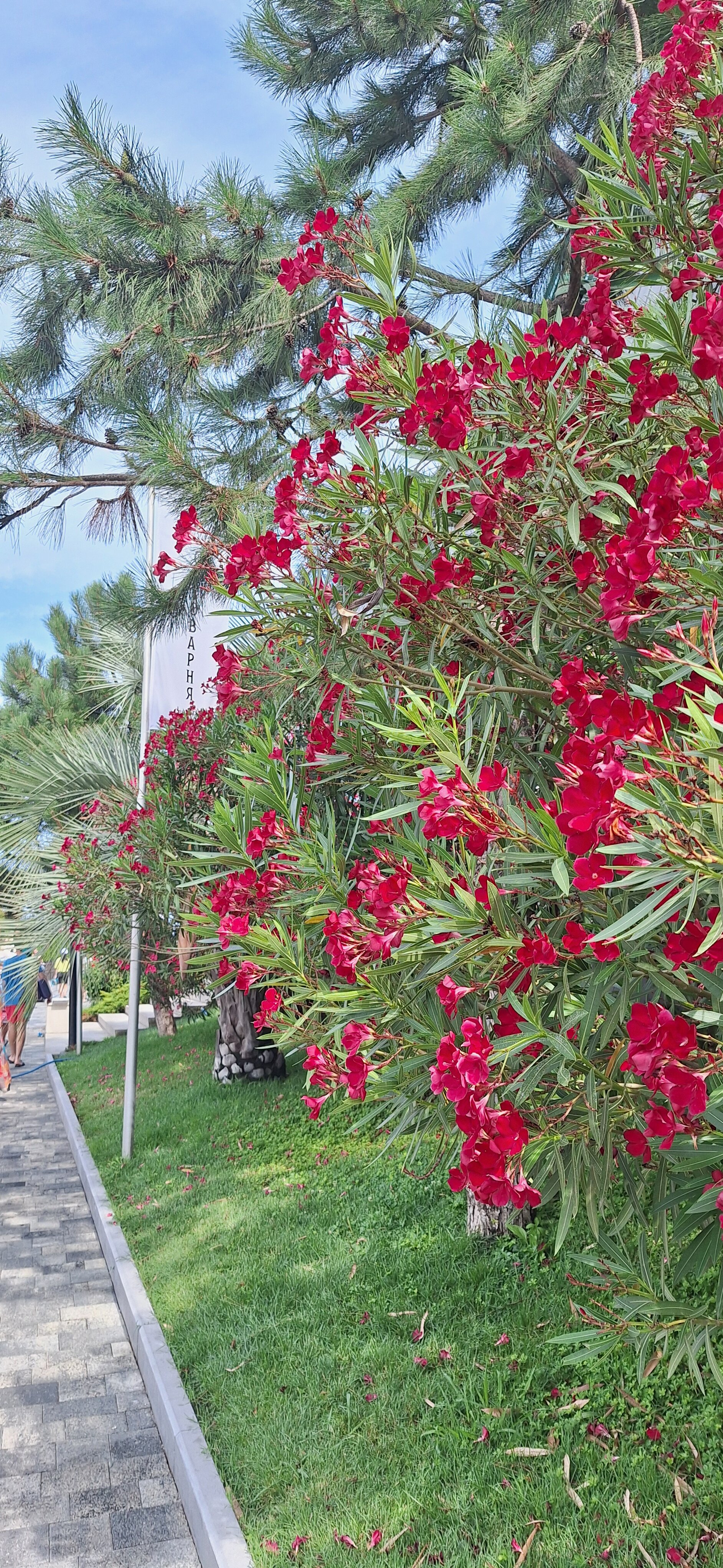 Фото Guest house Unona Family