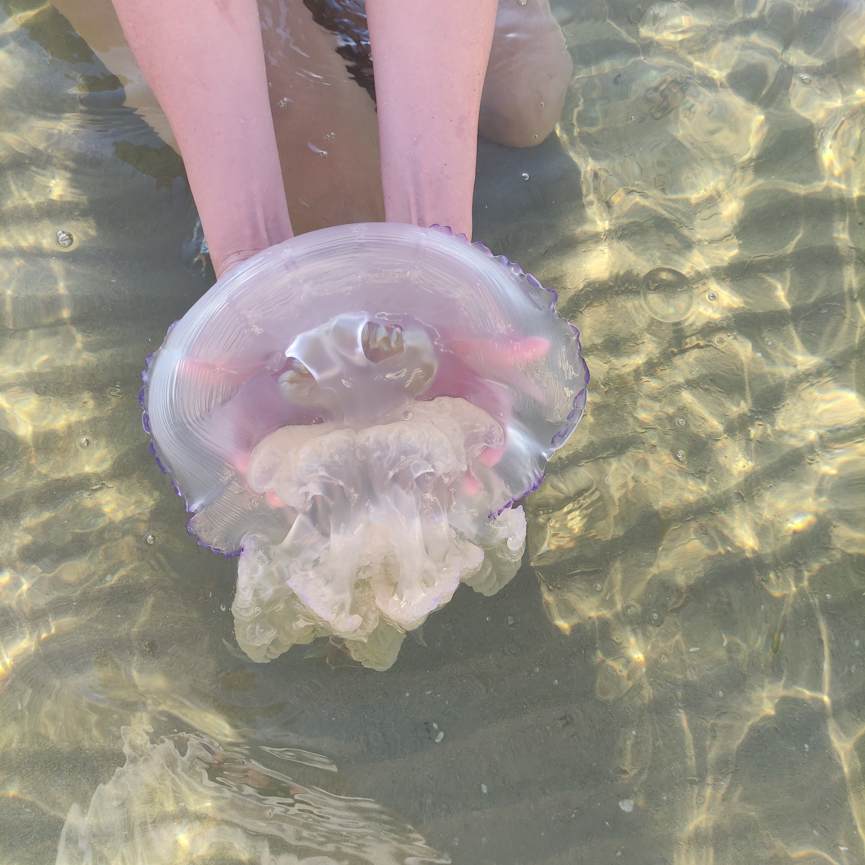 Фото Бирюзовая бухта