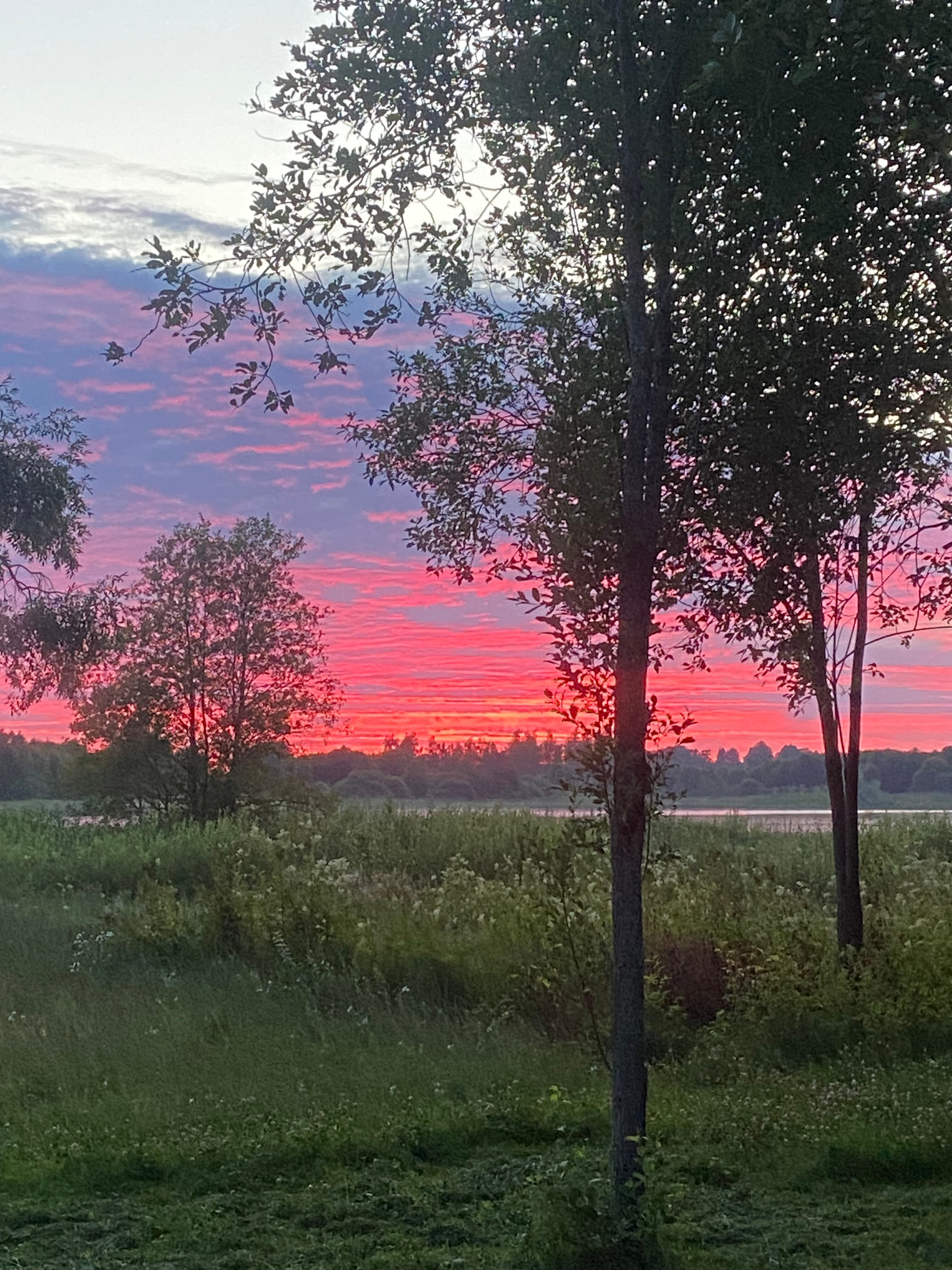 Фото Ферма моей мамы