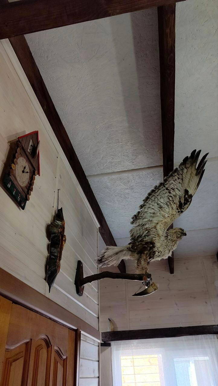 Фото Домик художника