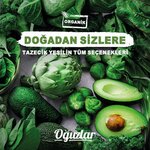 Oguzlar Vegetables and Fruits (Kocaeli, Basiskele, Ovacik Neighborhood), verduras y frutas al por mayor