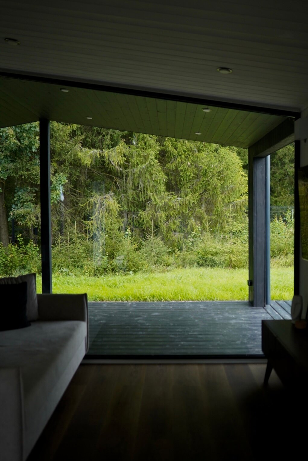 Фото Лес да Вода