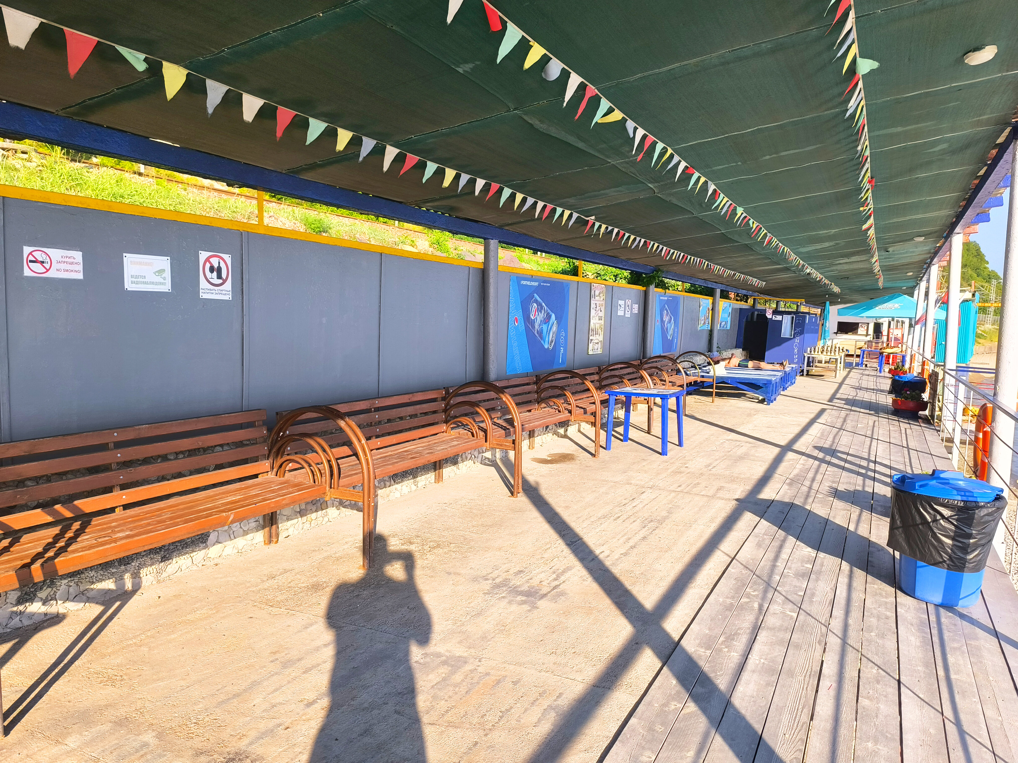 Фото У Кедра