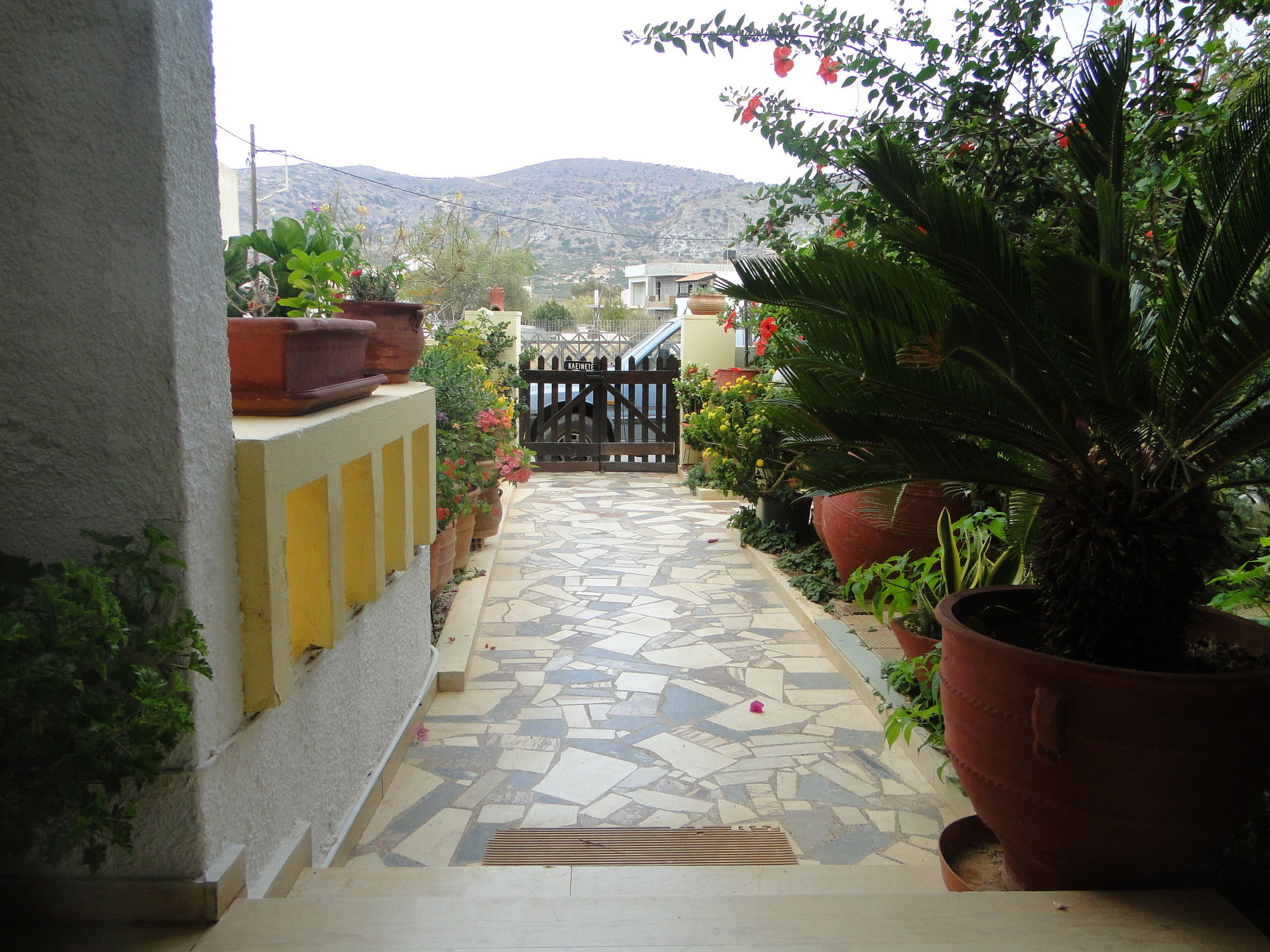 Фото Paradise Inn