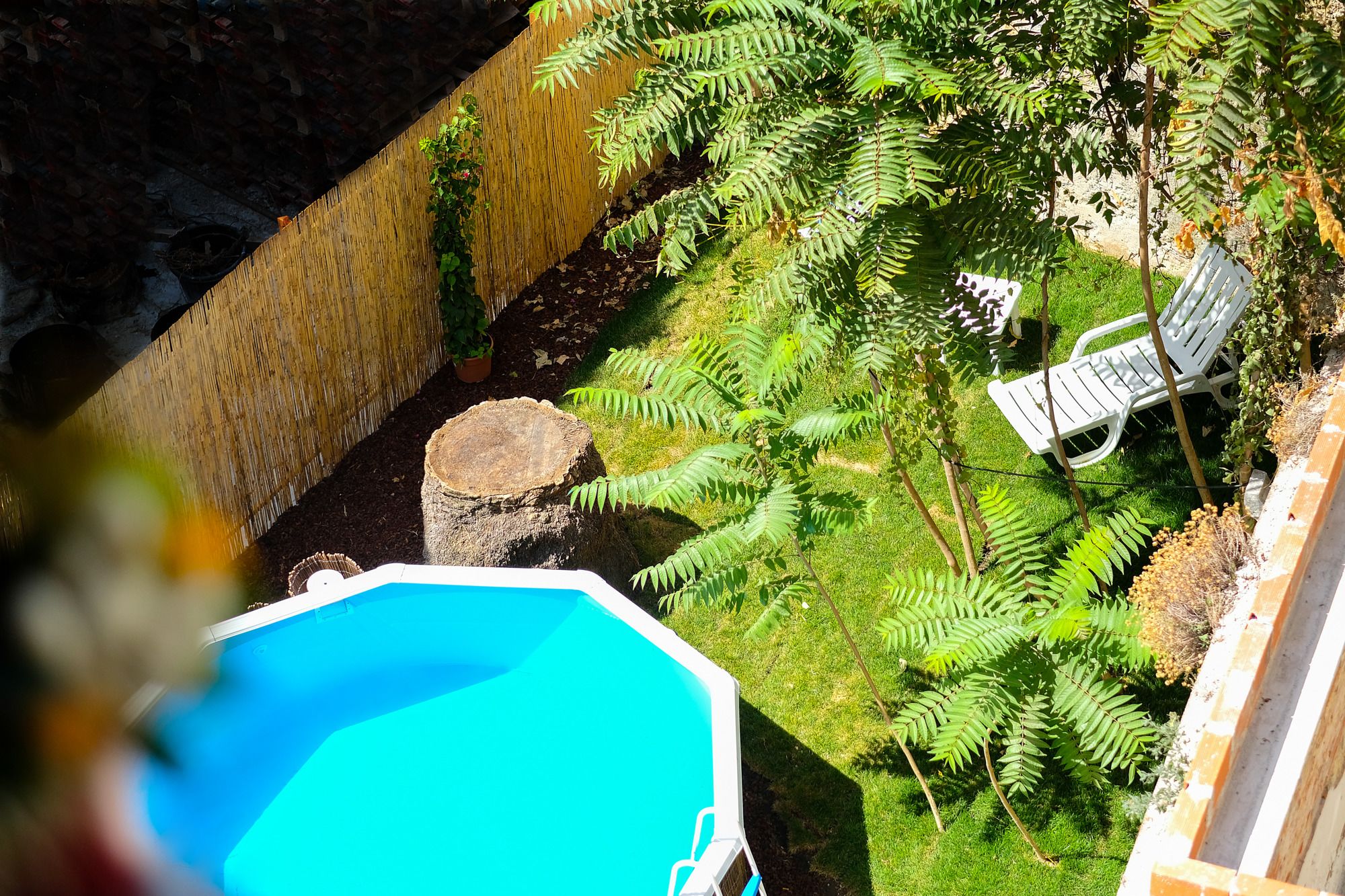 Фото Palácio das Especiarias