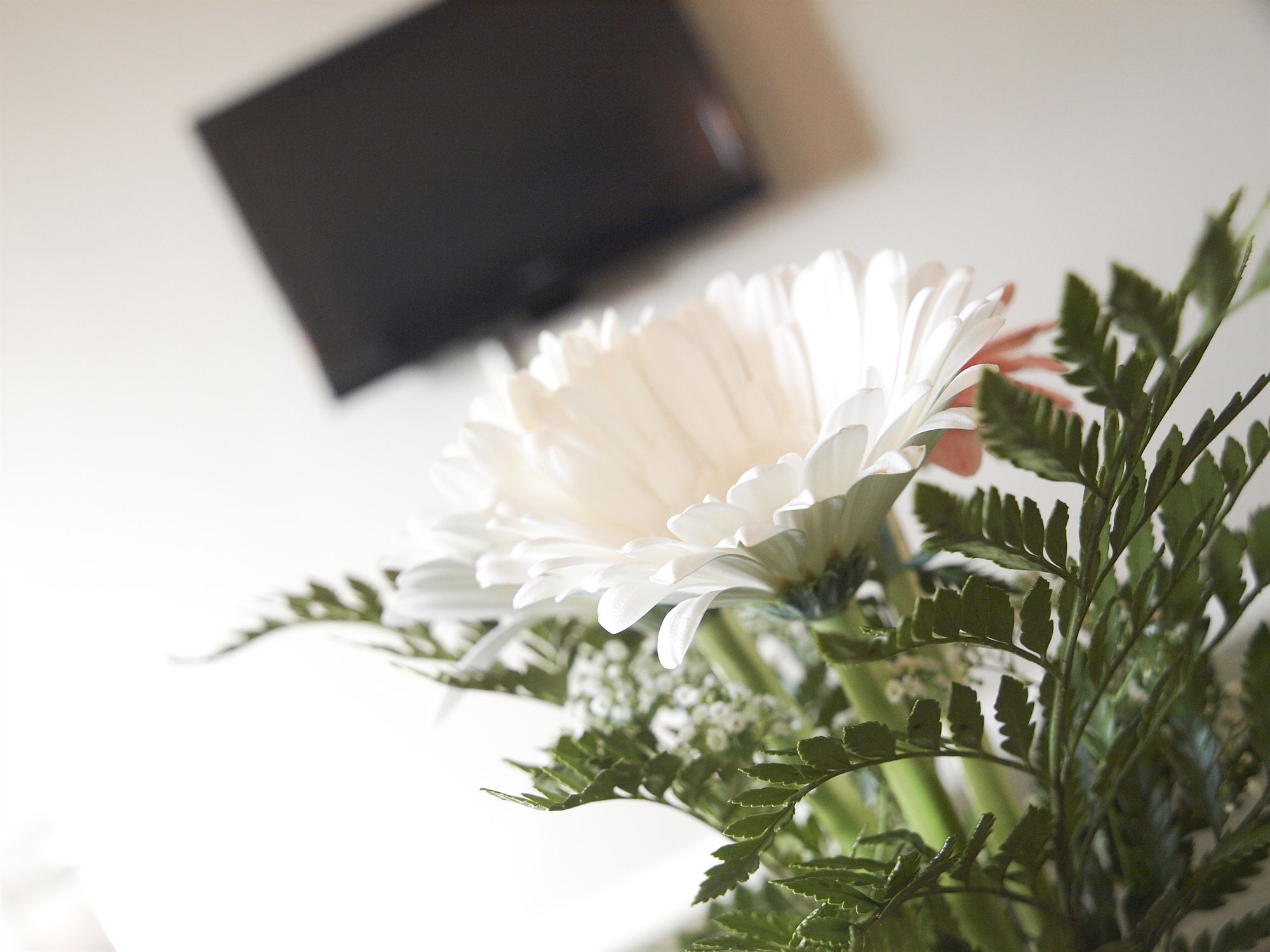 Фото Beausejour Hôtel Appartements