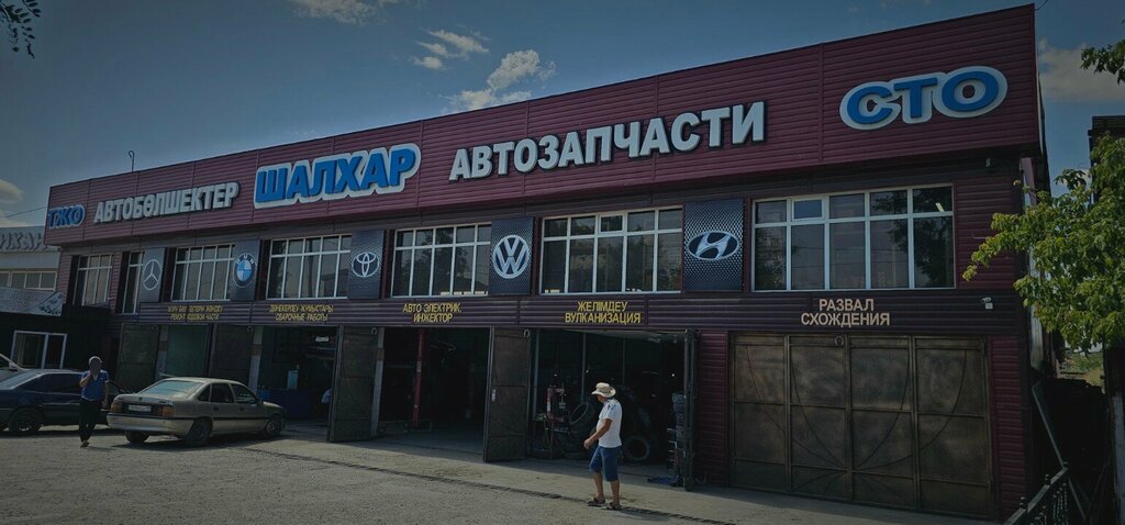 Auto parts and auto goods store Sultan, Chimkent, photo