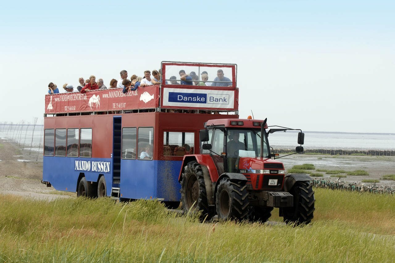 Фото 118945088283