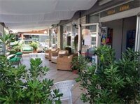 Фото Hotel Villa Enea