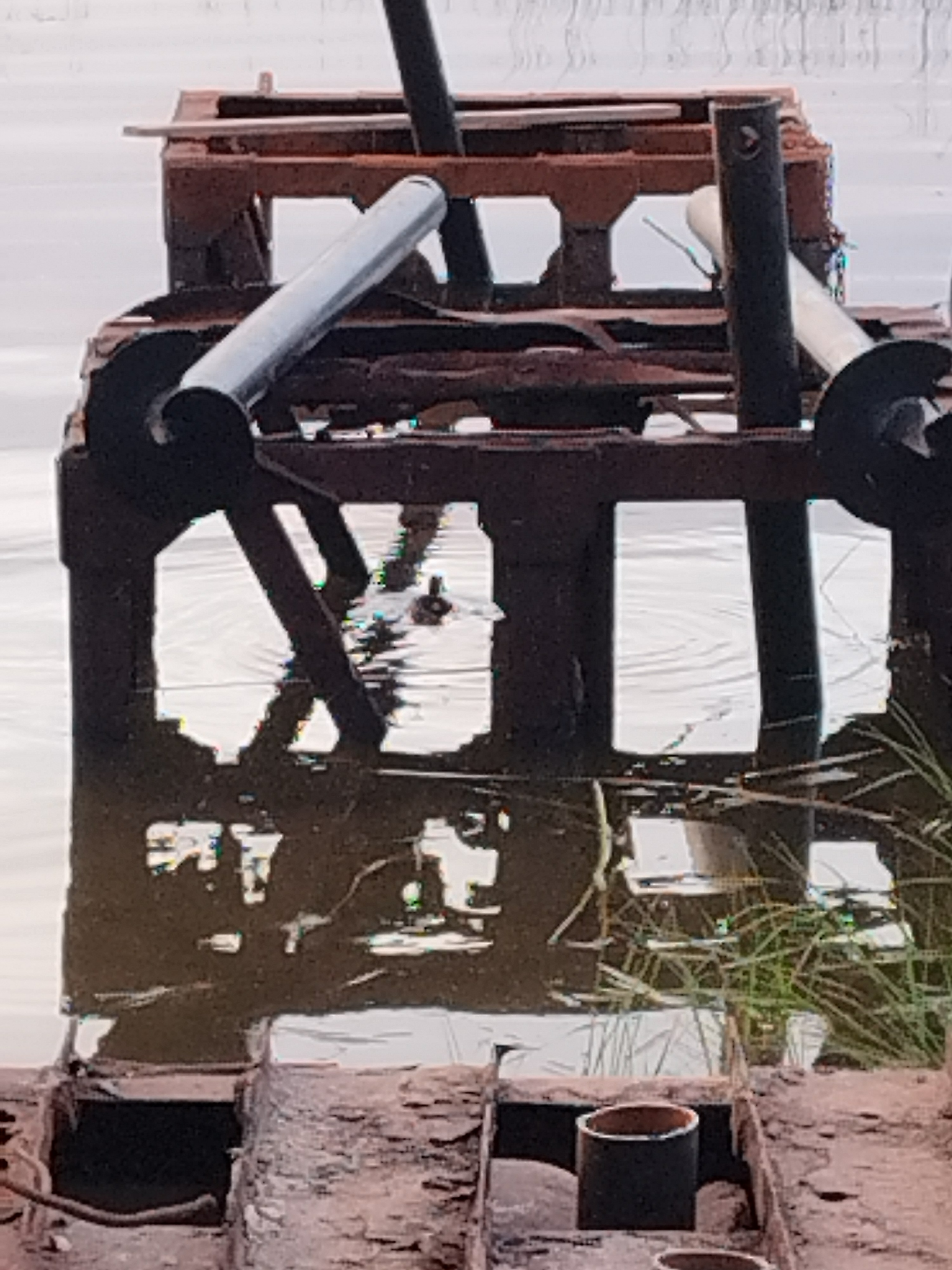 Фото Янтарный Берег