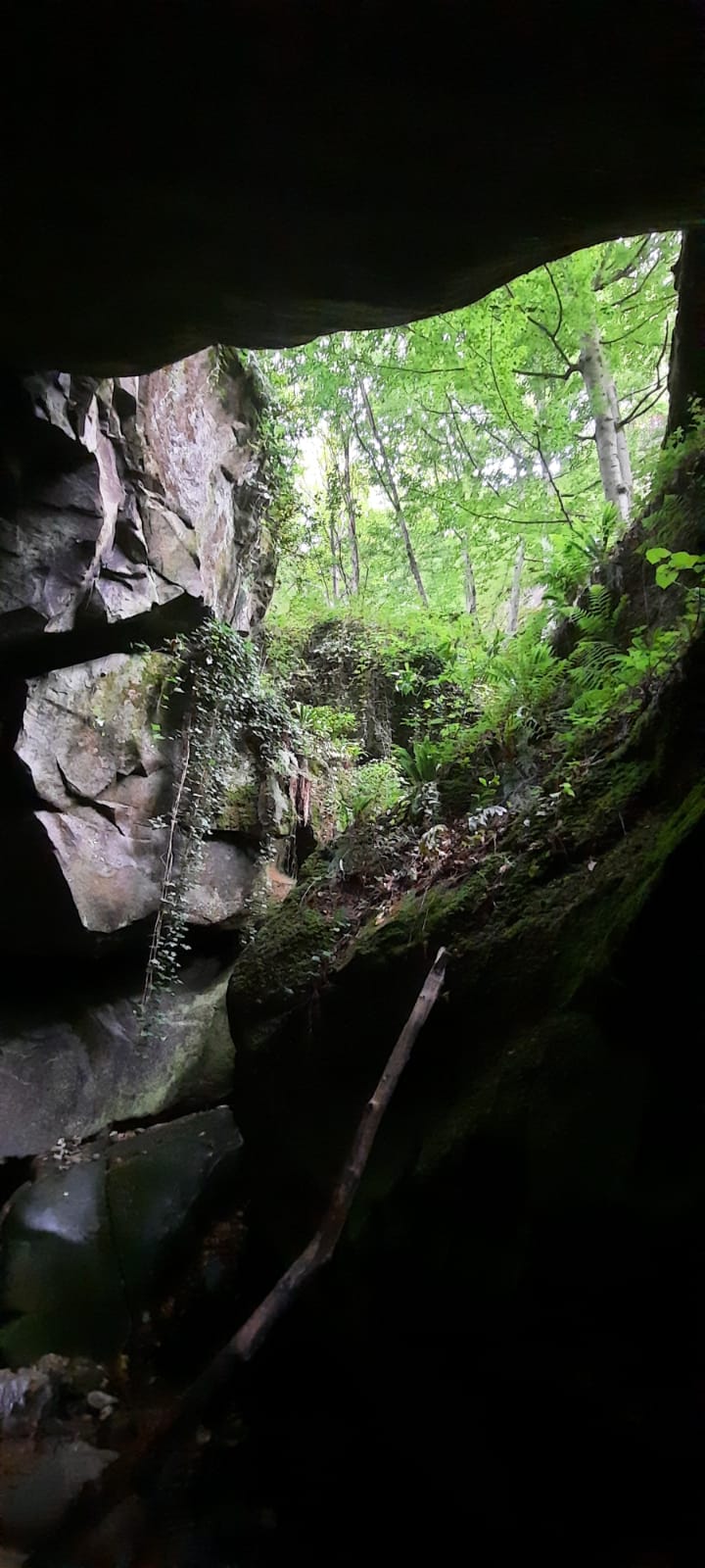 Фото Глобус