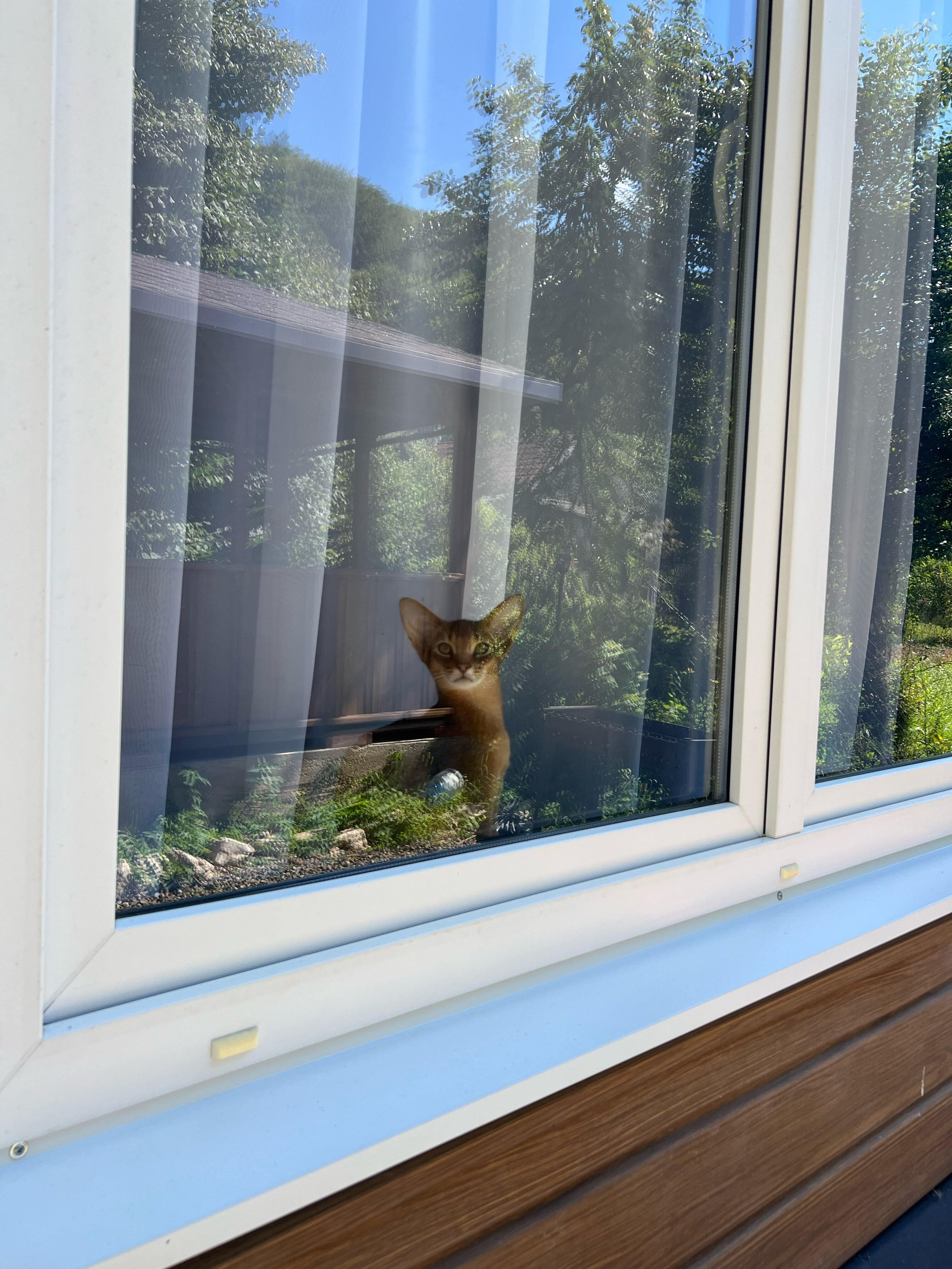 Фото Палитра