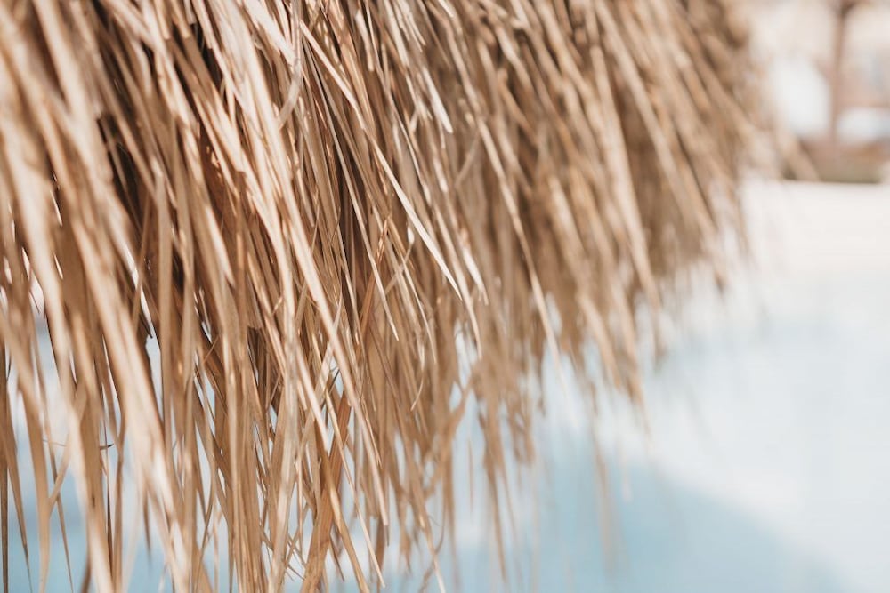 Фото Canggu Village