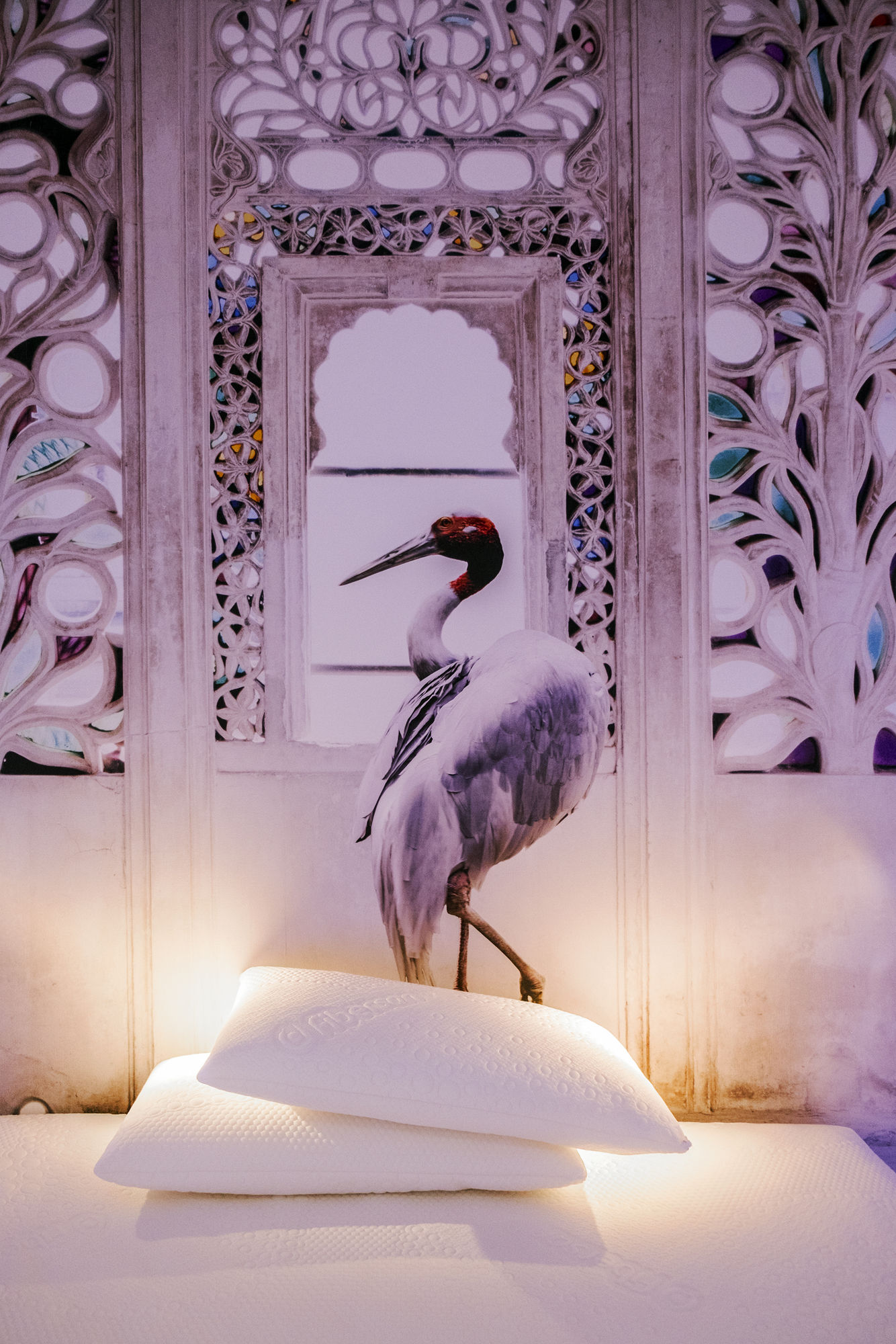 Фото Trevi Elite Rome