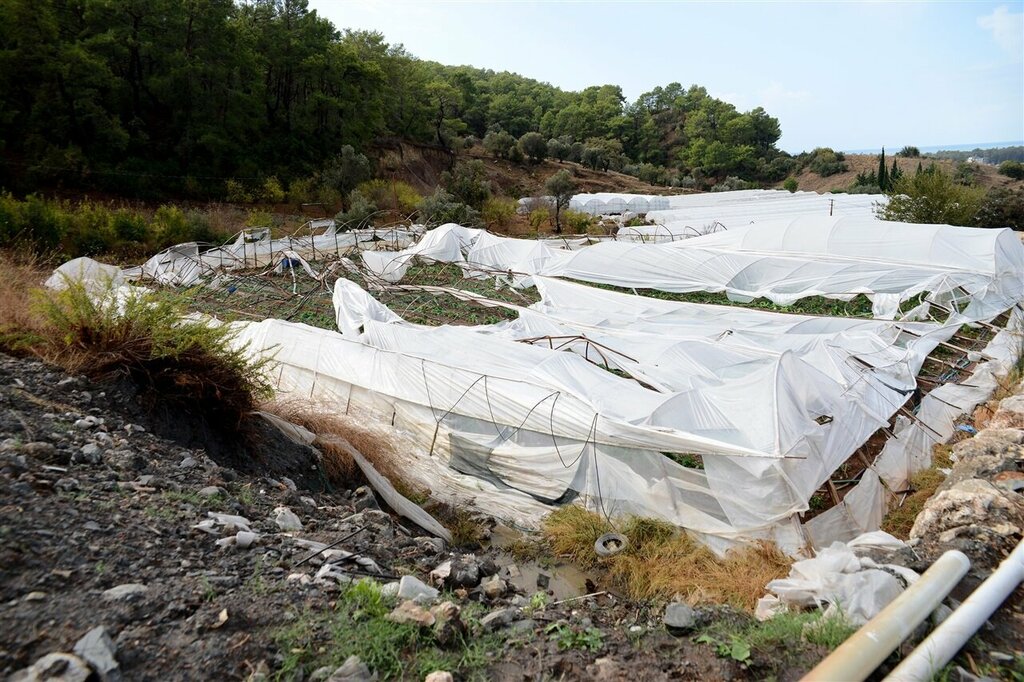 Chamber of commerce Afyonkarahisar Chamber of Agriculture Presidency, Afyonkarahisar, photo