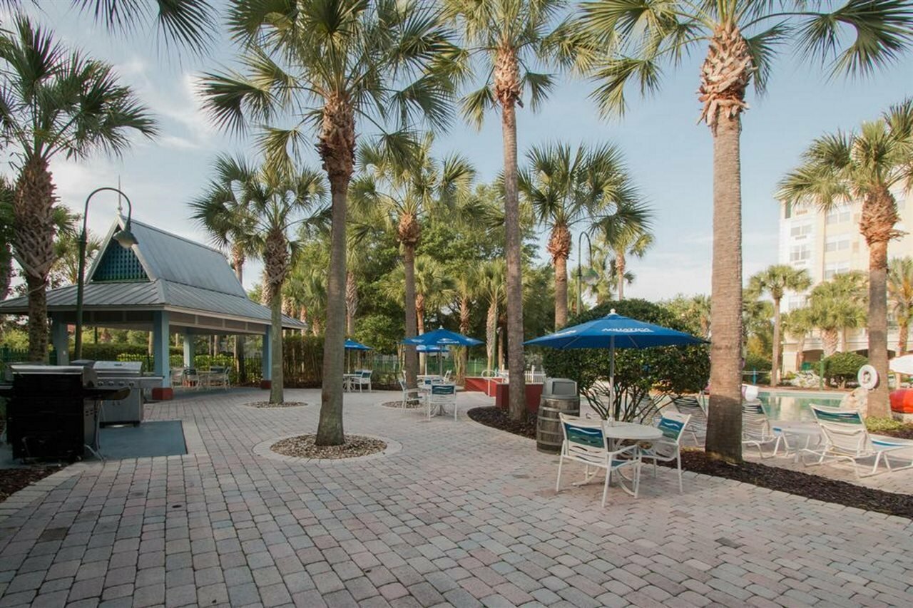 Фото SpringHill Suites by Marriott Orlando Lake Buena Vista South