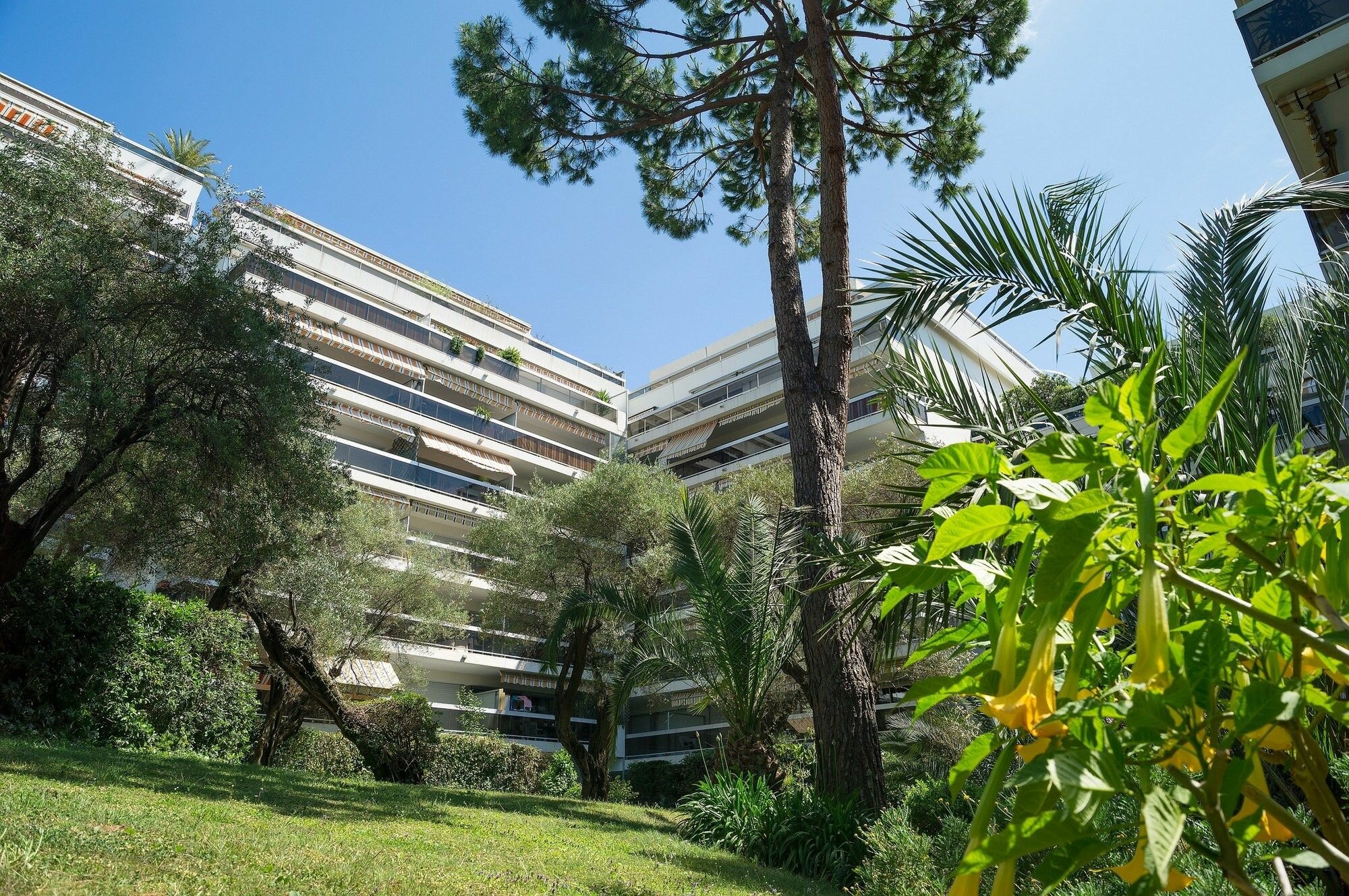 Фото Pierre & Vacances Résidence La Rostagne