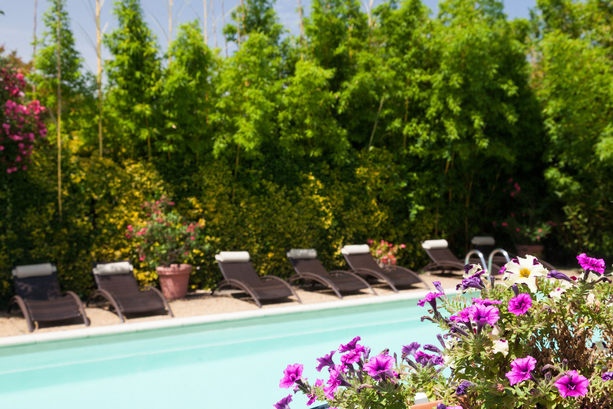 Фото 130816356369