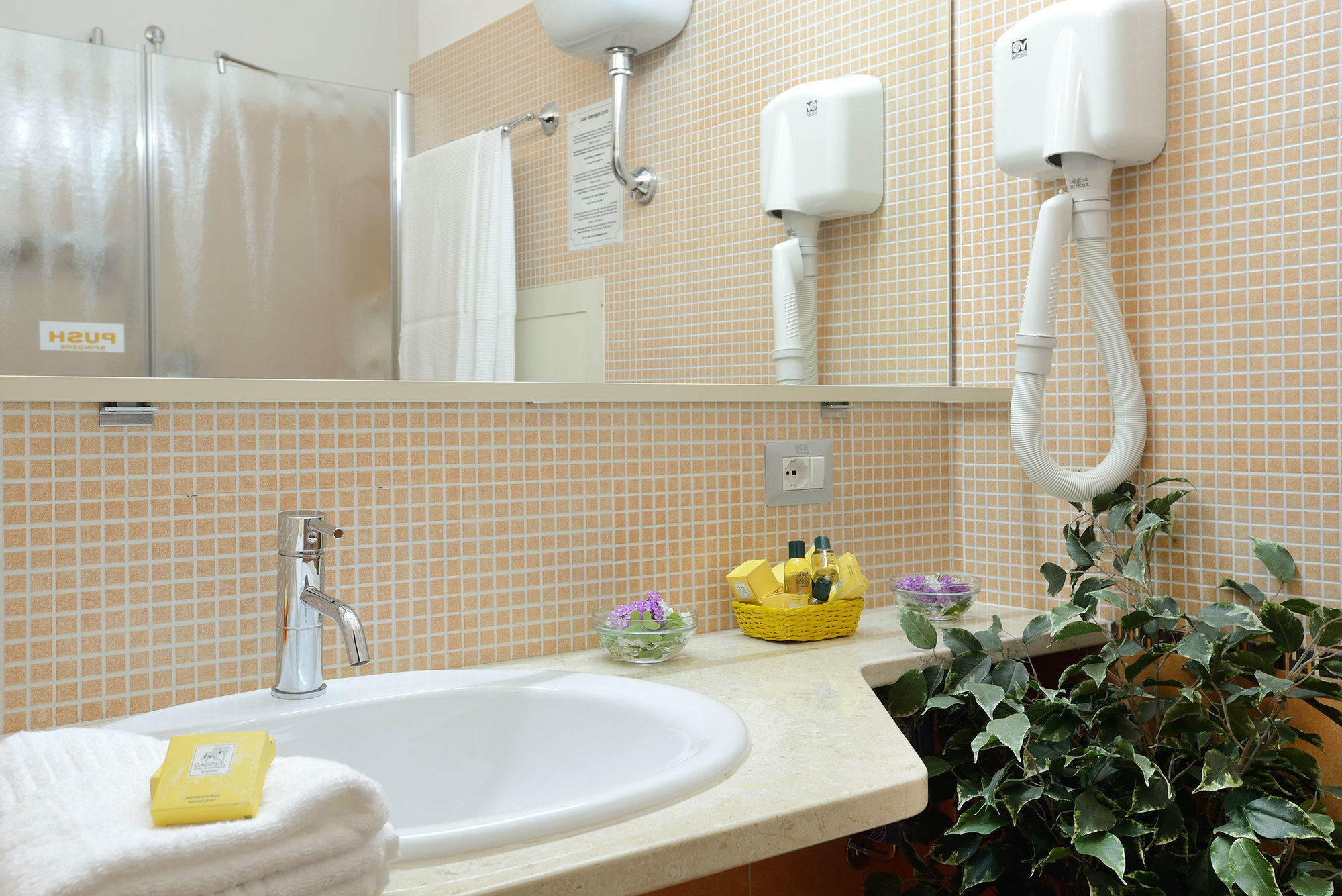 Фото Hotel Oasis