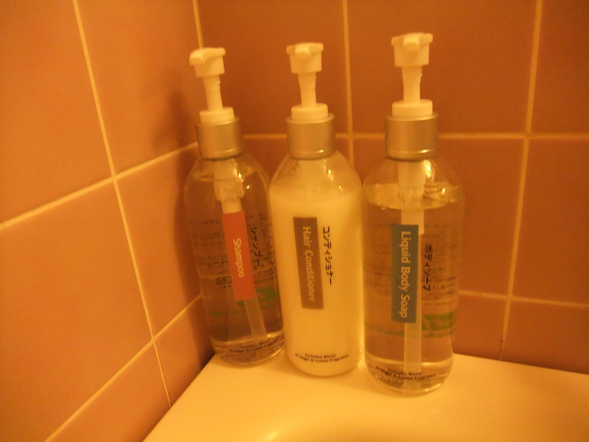 Фото Holiday Inn Ana Kanazawa Sky, an Ihg Hotel