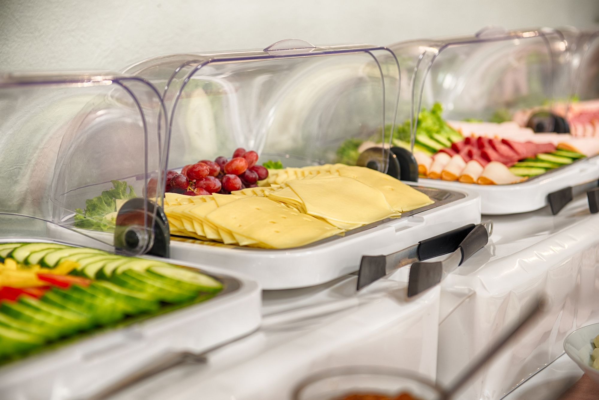 Фото Hotel Senator